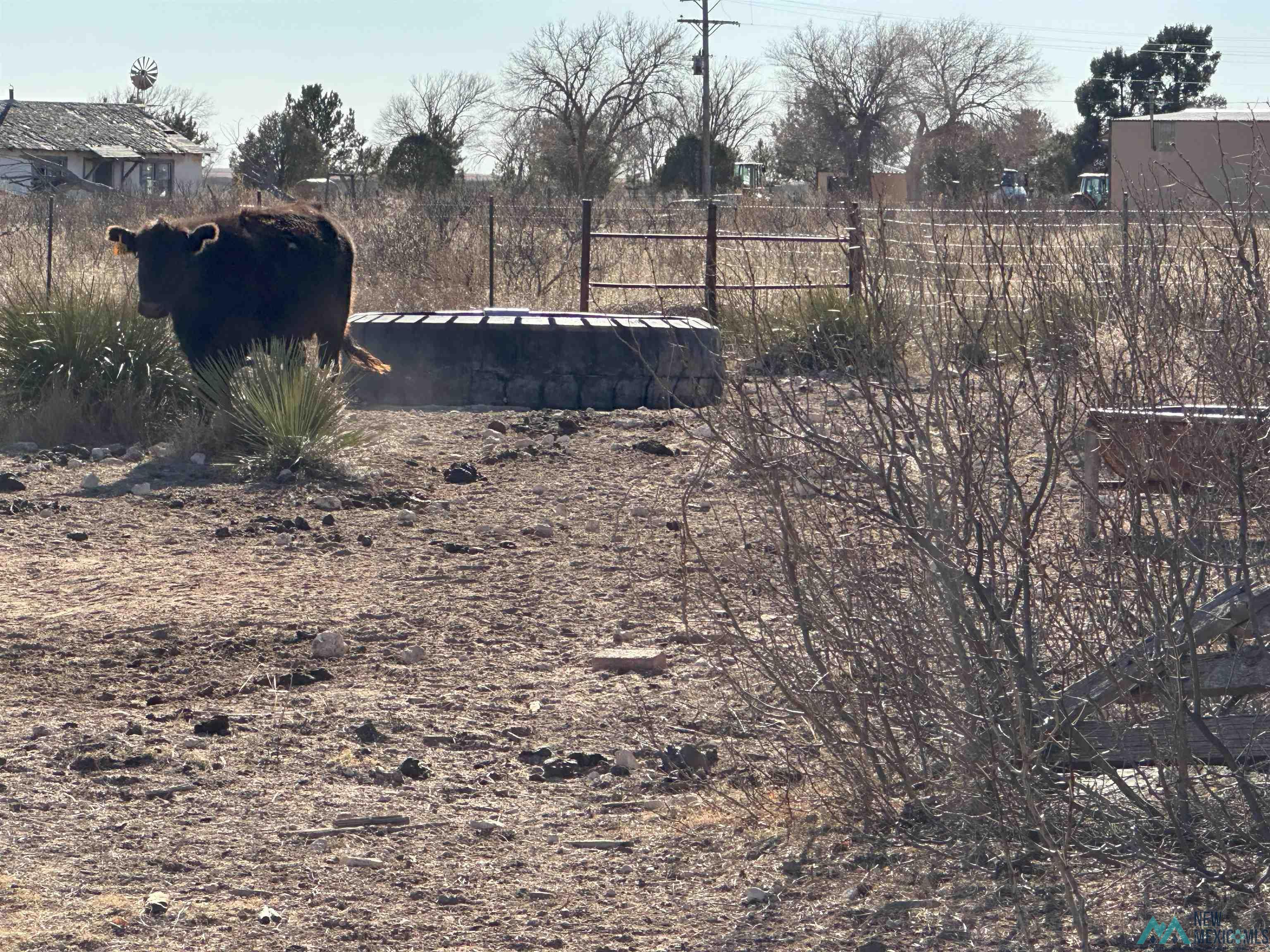 1559 Nm 267 Highway, Floyd, New Mexico image 7