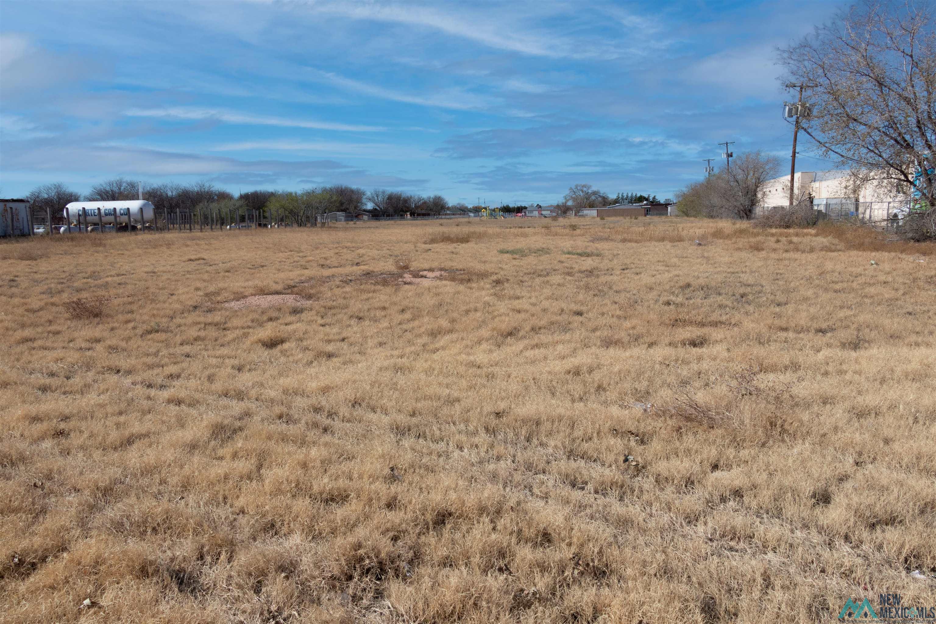 7776 Nm  206 Road, Portales, New Mexico image 1