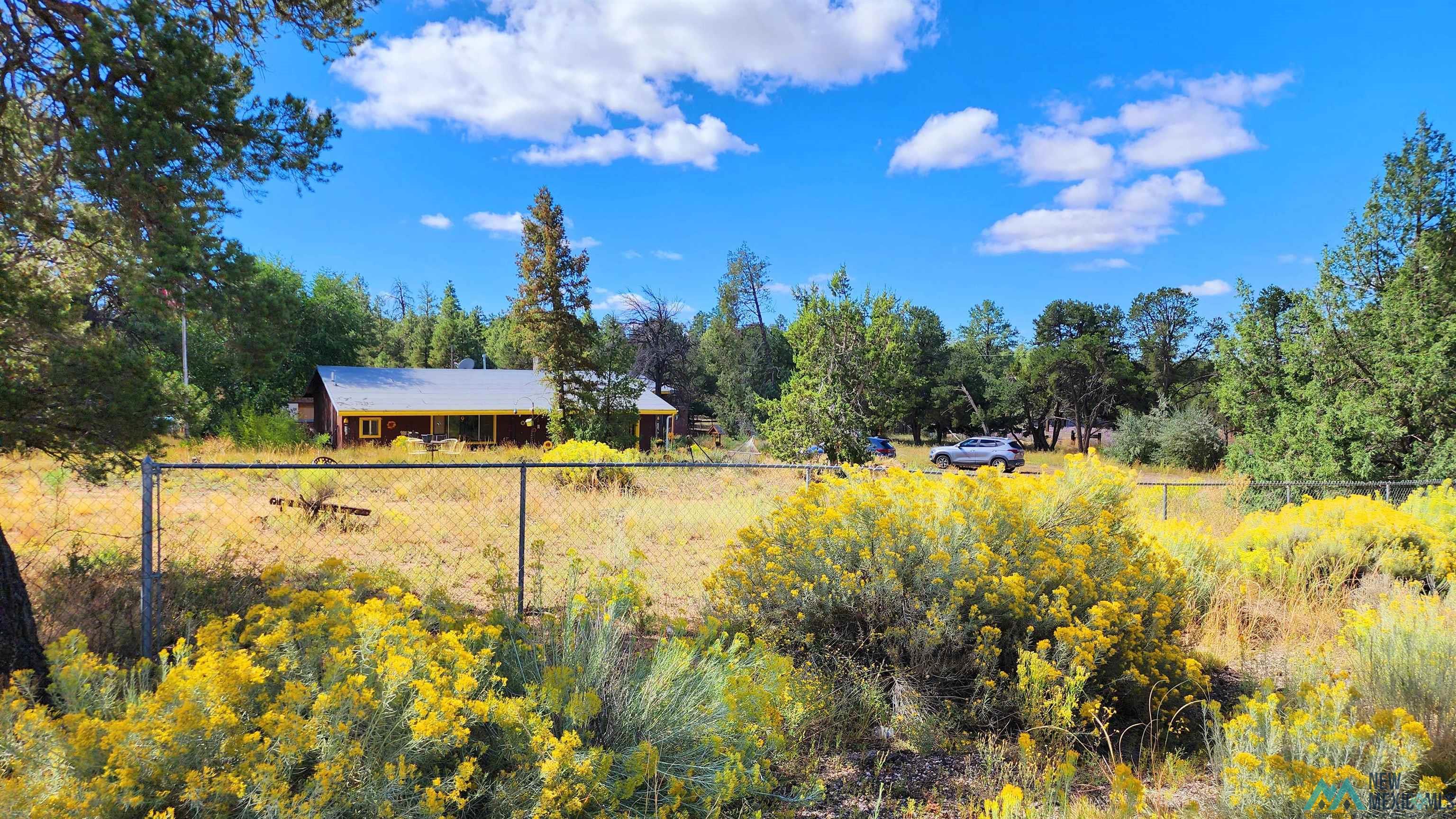 25 Cousins Road, Vanderwagen, New Mexico image 1