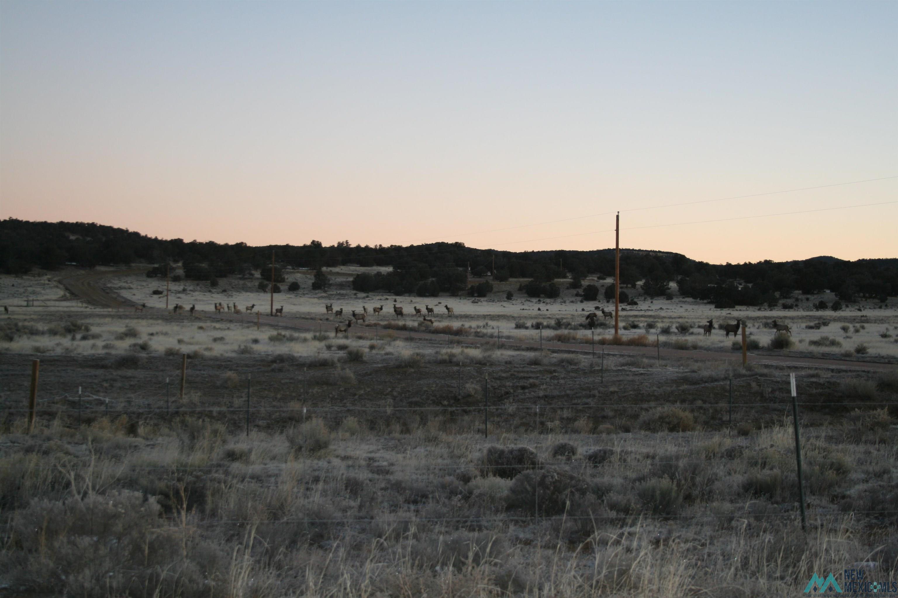 32 Dan Gatlin Lane, Pie Town, New Mexico image 46
