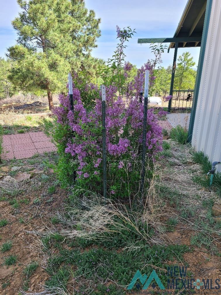 32 Dan Gatlin Lane, Pie Town, New Mexico image 47