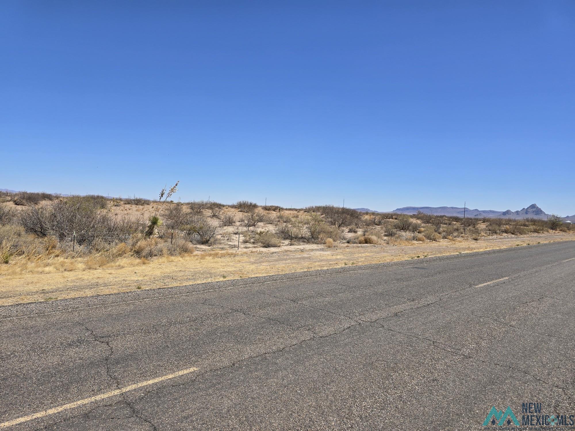 000 Sunshine And Cactus Road, Deming, Texas image 2