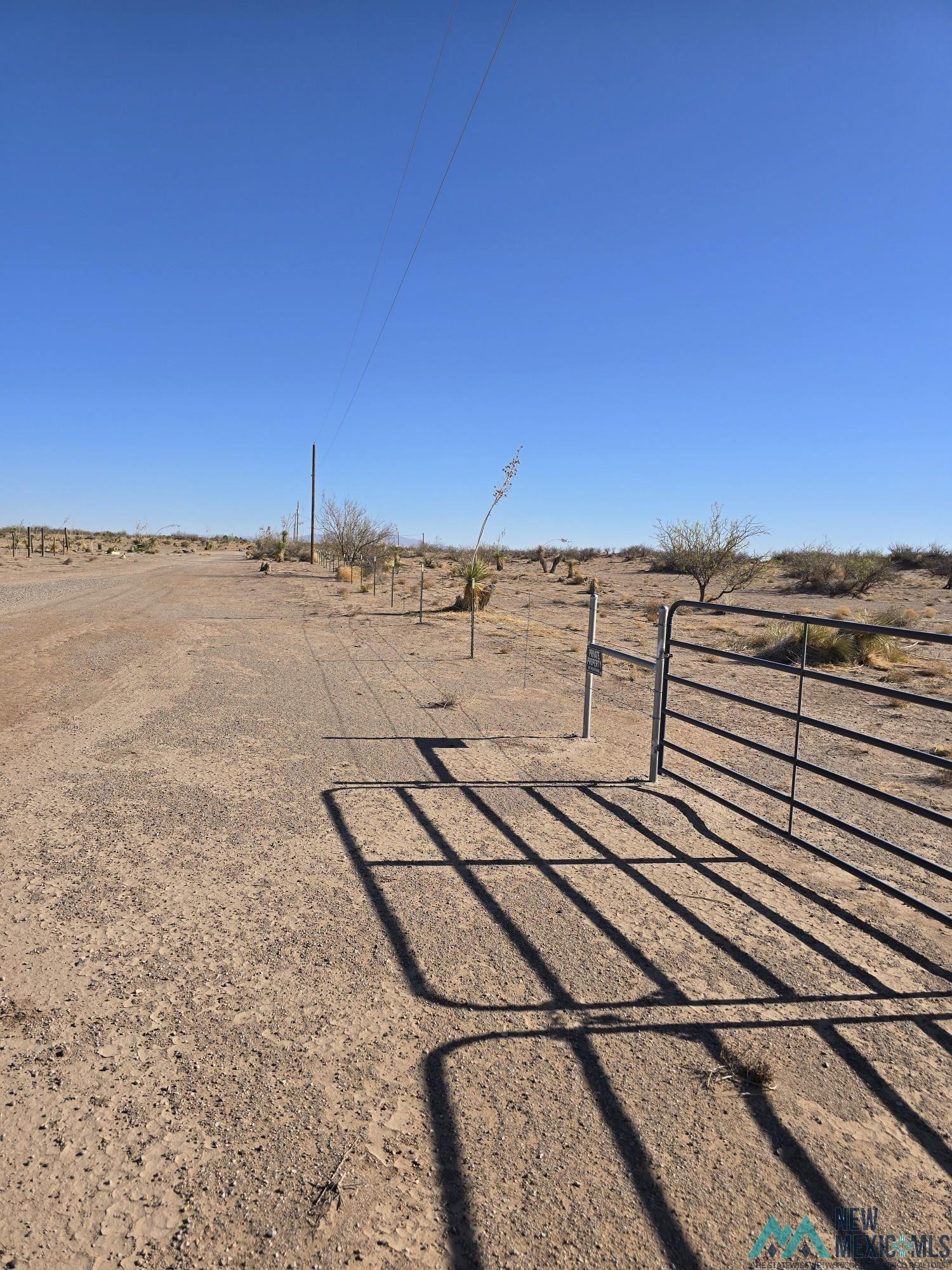 000 Sunshine And Cactus Road, Deming, Texas image 5