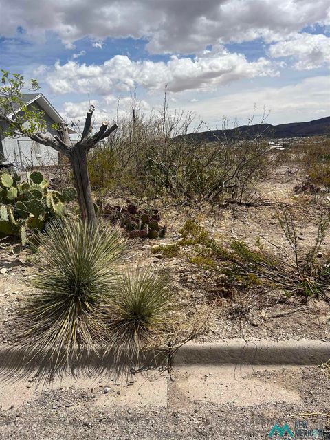 Vacant Land For Sale - 907 Grape Street<br/> Truth Or Consequences, NM 87901