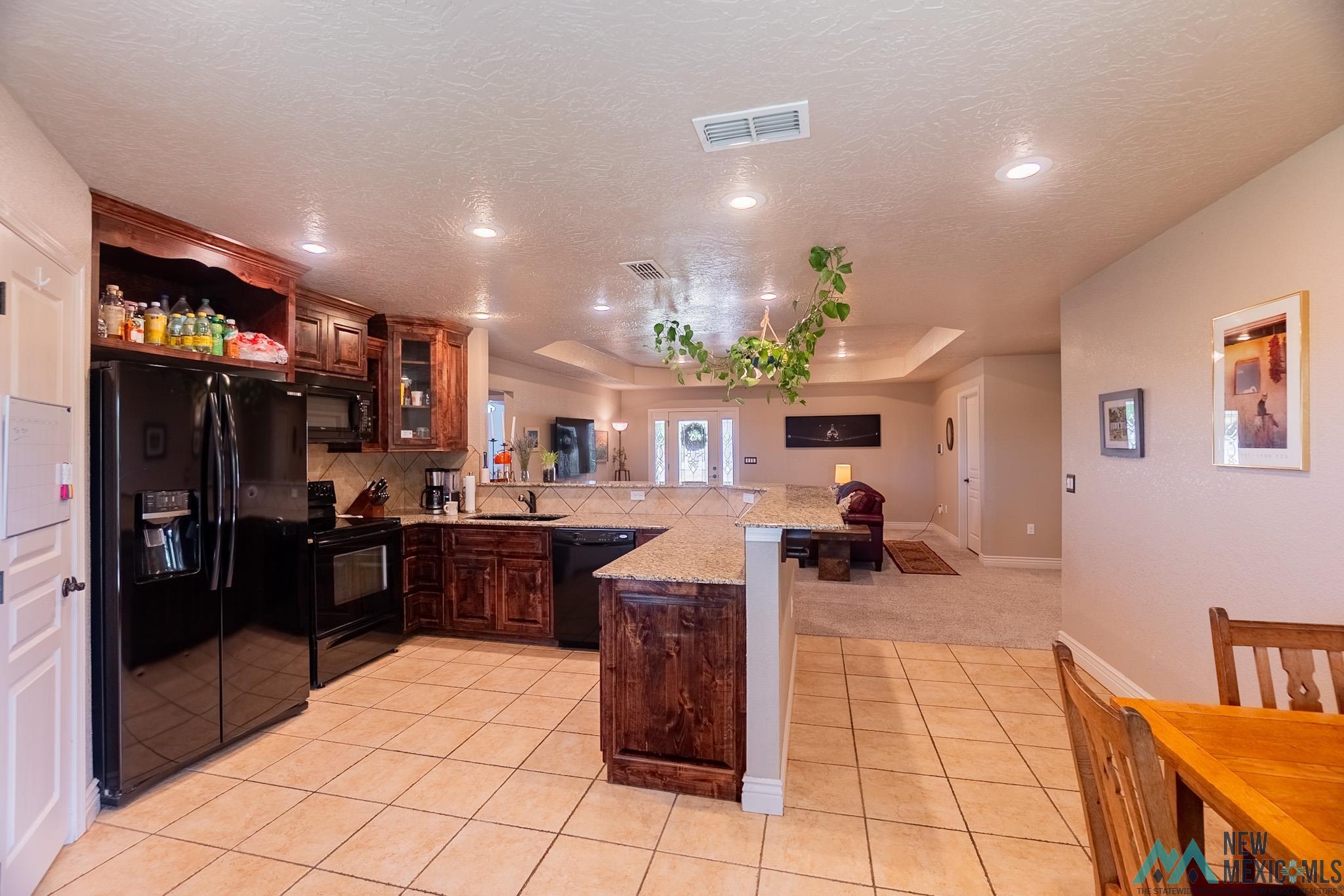 705 Almond Tree Ln, Clovis, Texas image 7