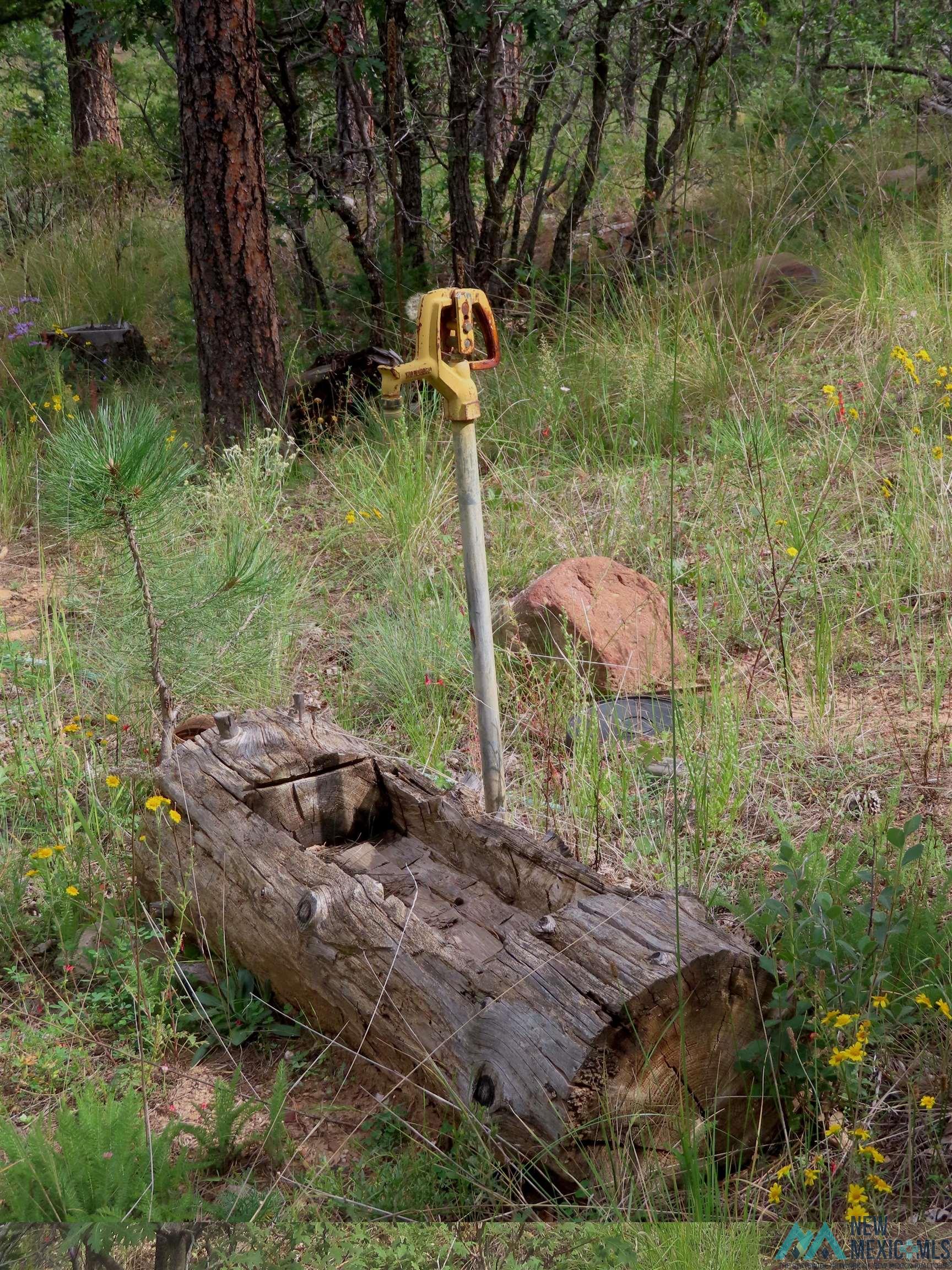 1045 Ac Ctc Ranch Road, Mora, New Mexico image 39