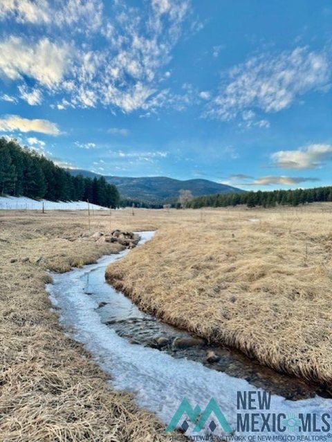 Vacant Land For Sale - 28289 Hwy 64 Highway<br/> Eagle Nest, NM 87718