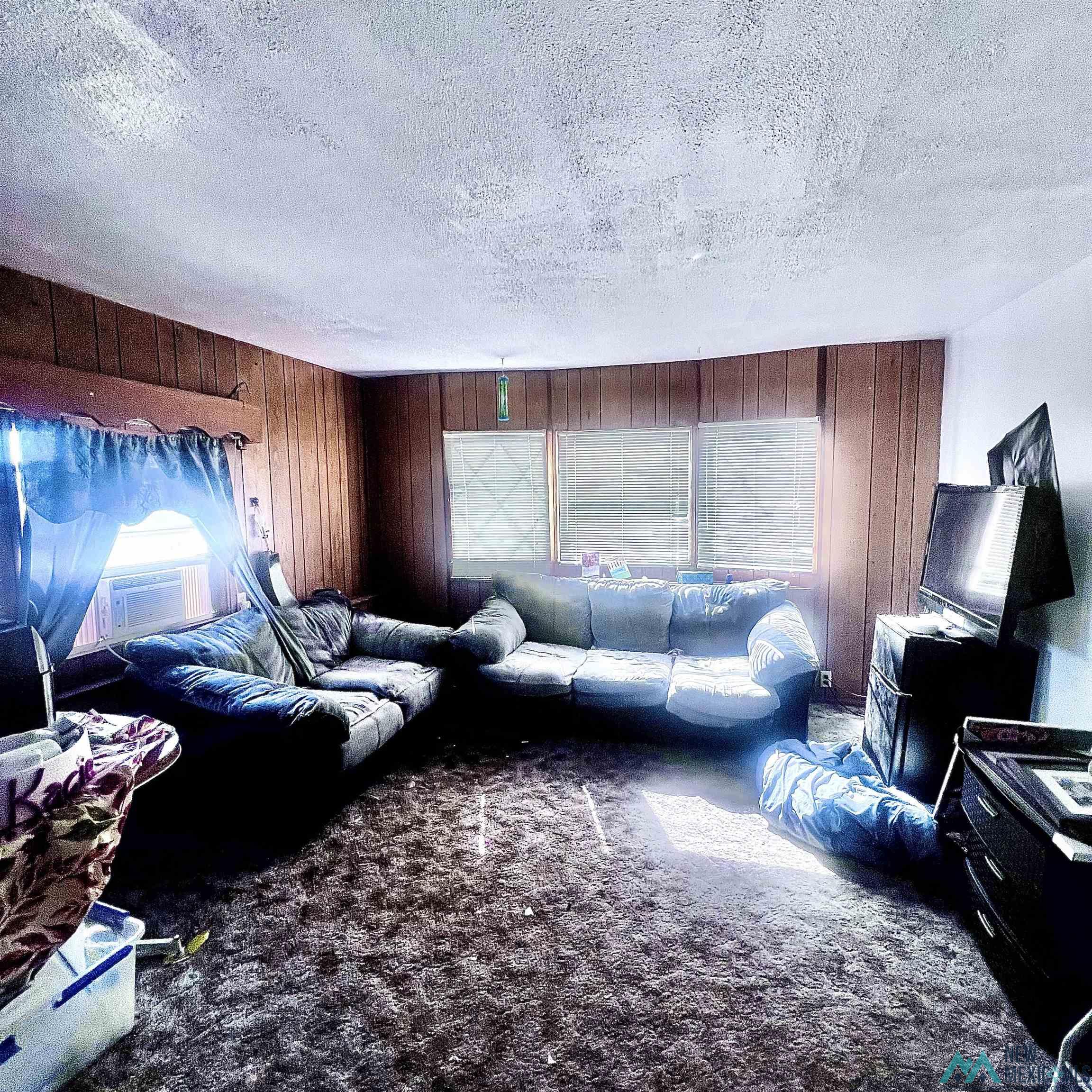101 Organ Avenue, Elephant Butte, New Mexico image 17