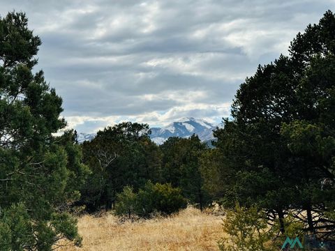 Vacant Land For Sale - San Mateo Drive<br/> Alto, NM 88312