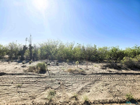 Vacant Land For Sale - 0000 La Bajada Sw Road<br/> Luna County, Deming, NM 88030