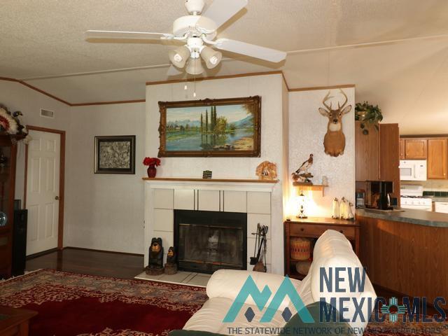 117 Springwood Drive, Portales, New Mexico image 4