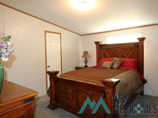 117 Springwood Drive, Portales, New Mexico image 25