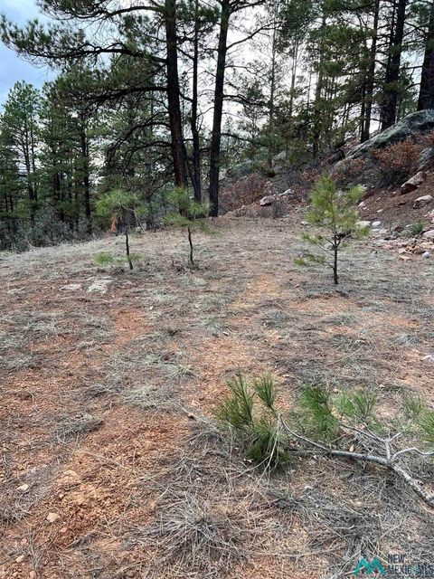 Vacant Land For Sale - R-56 Private Drive<br/> Rio Arriba County, Chama, NM 87520
