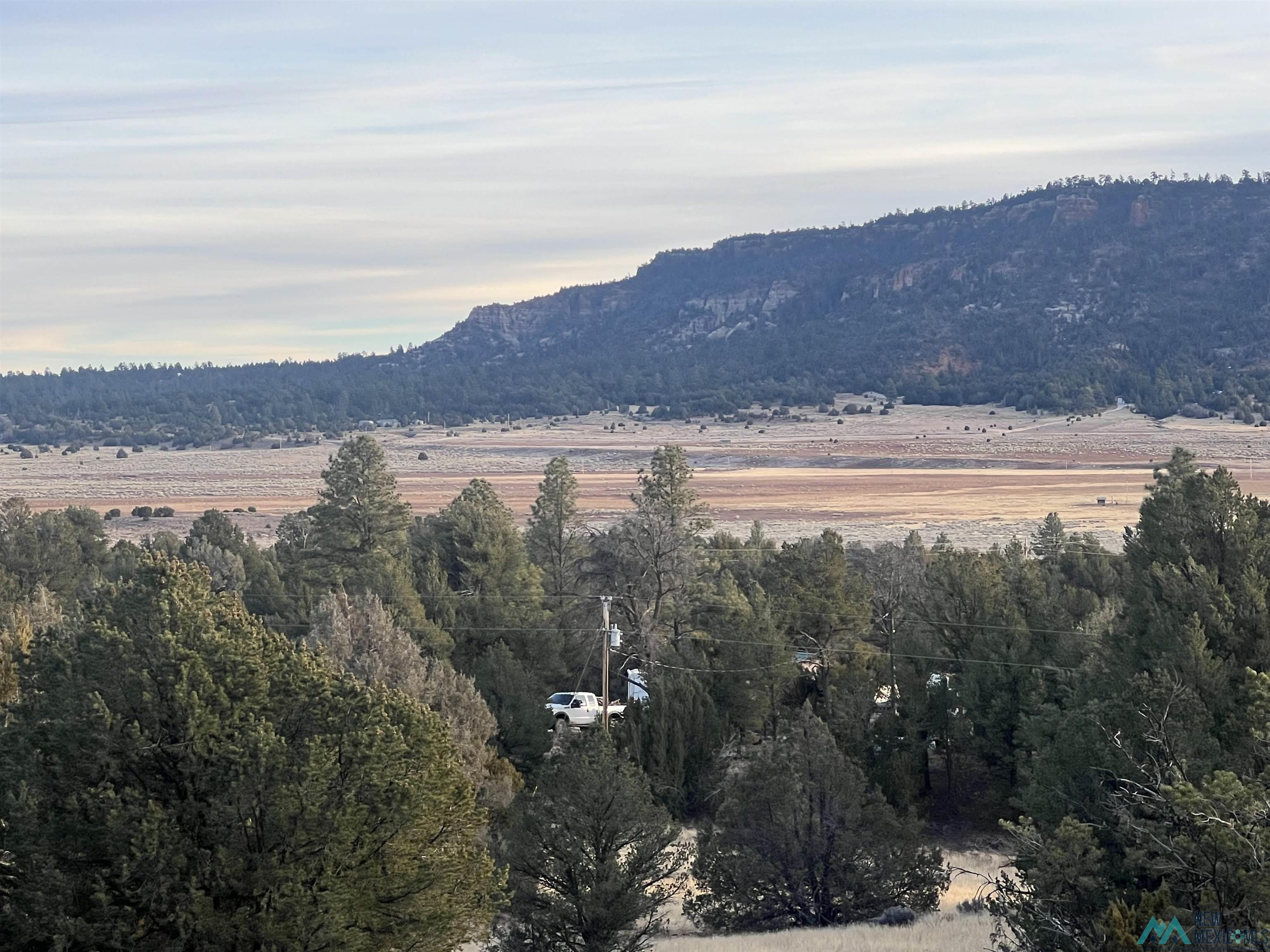 Lot 56 Woodland Drive, Timberlake Drive, Ramah, New Mexico image 1
