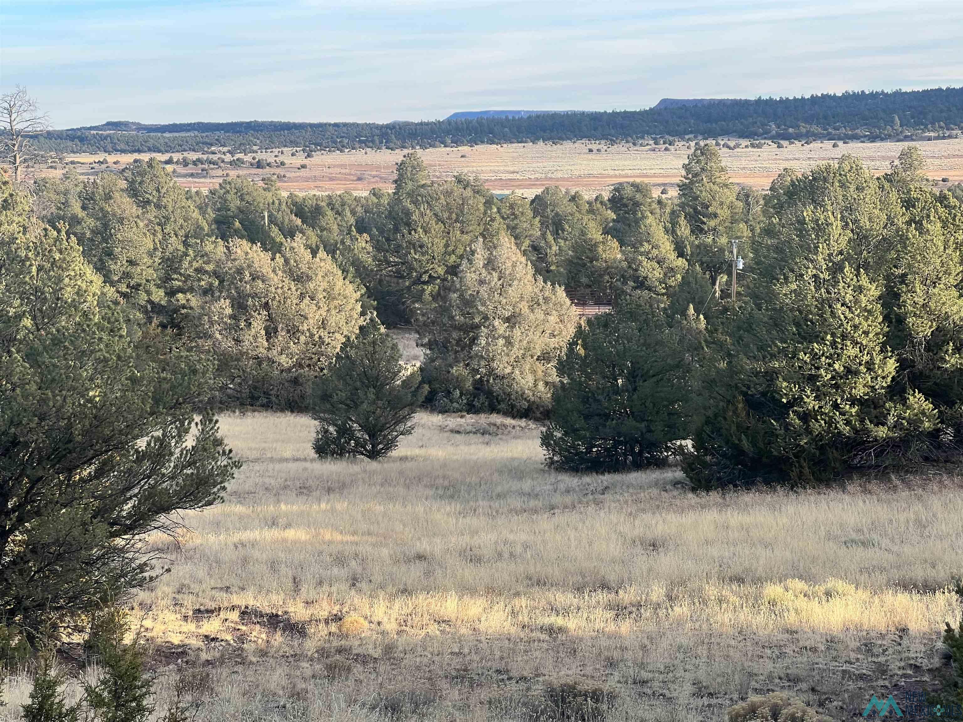 Lot 56 Woodland Drive, Timberlake Drive, Ramah, New Mexico image 4