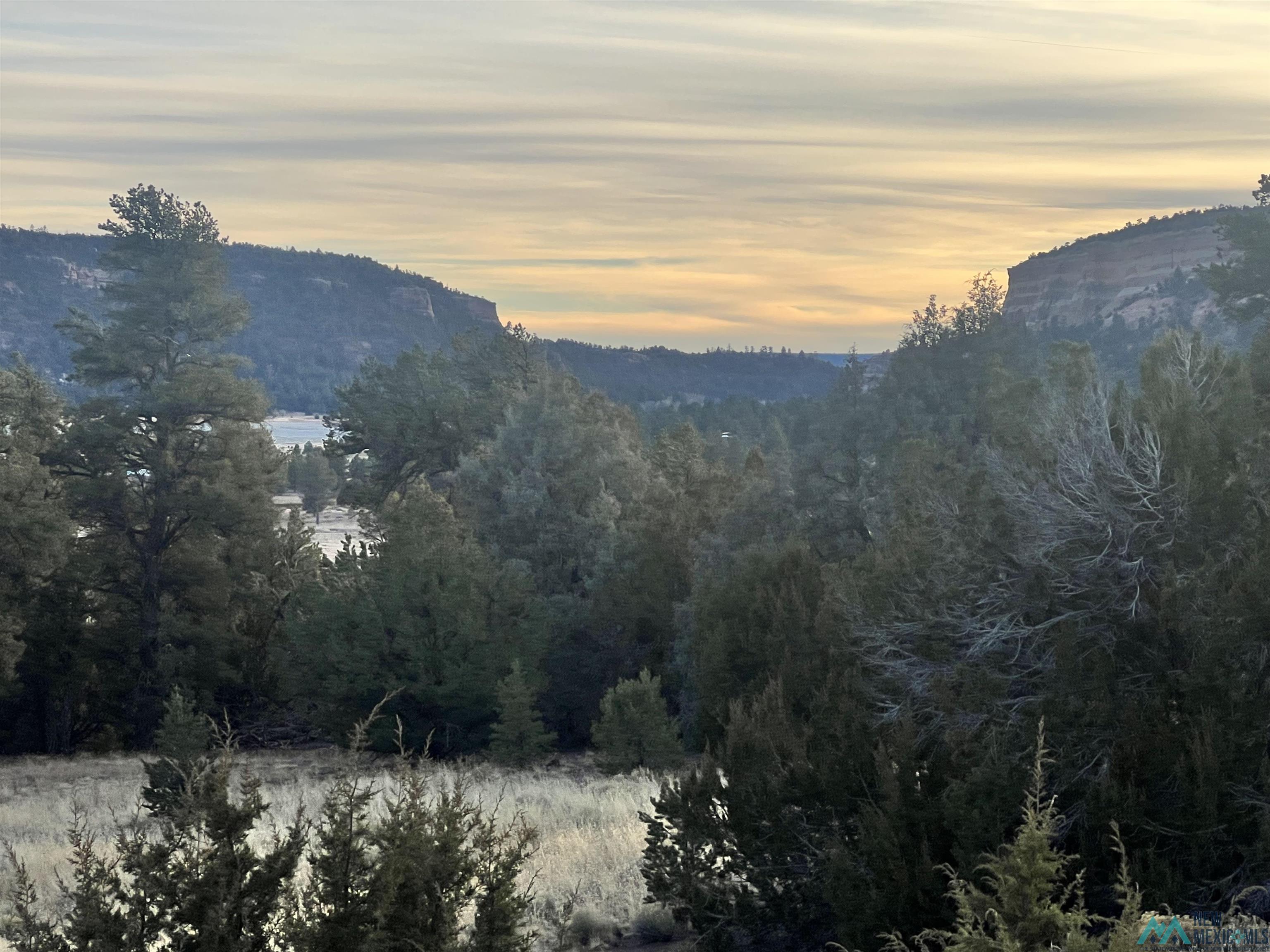 Lot 56 Woodland Drive, Timberlake Drive, Ramah, New Mexico image 3