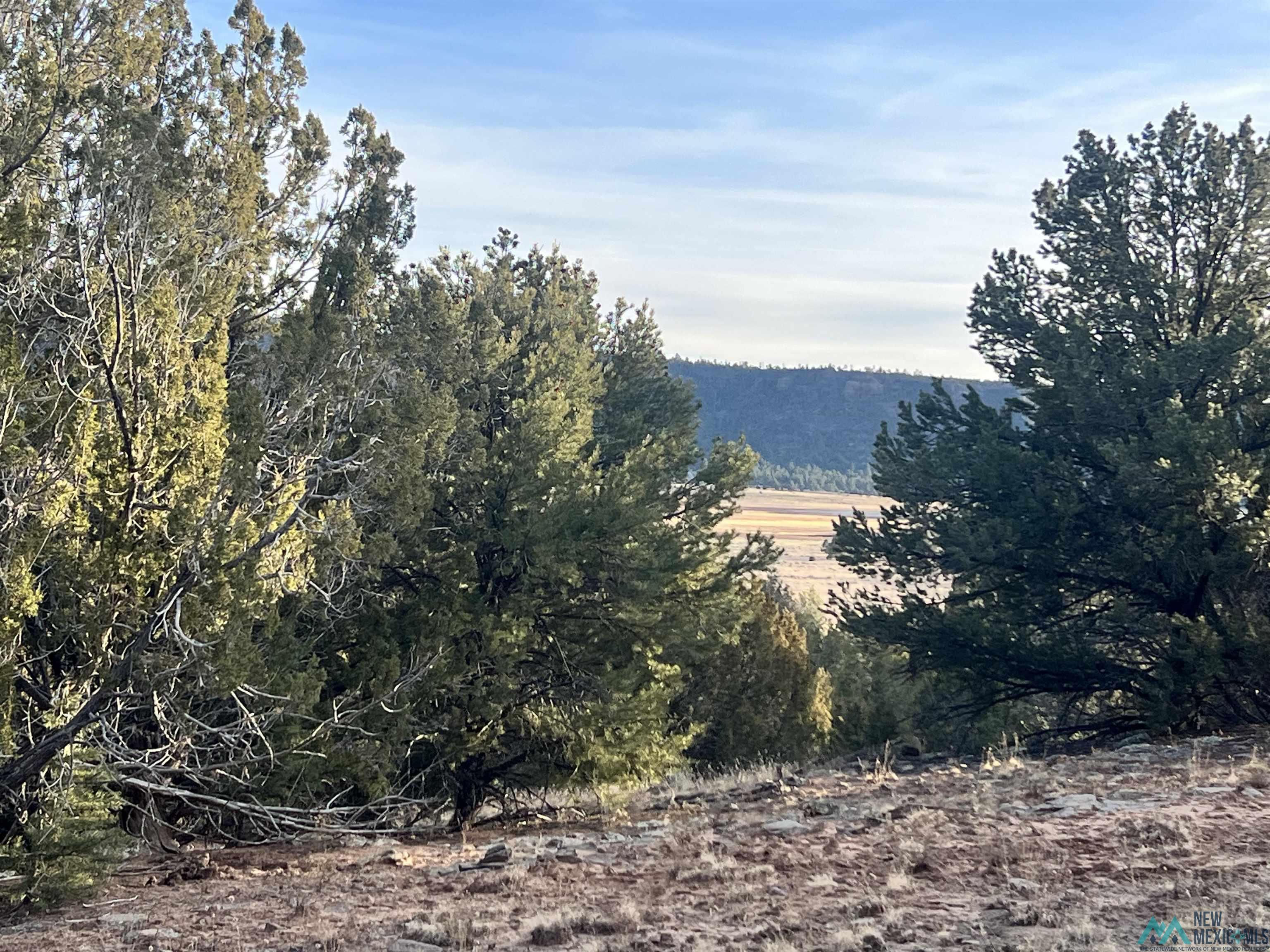 Lot 56 Woodland Drive, Timberlake Drive, Ramah, New Mexico image 5