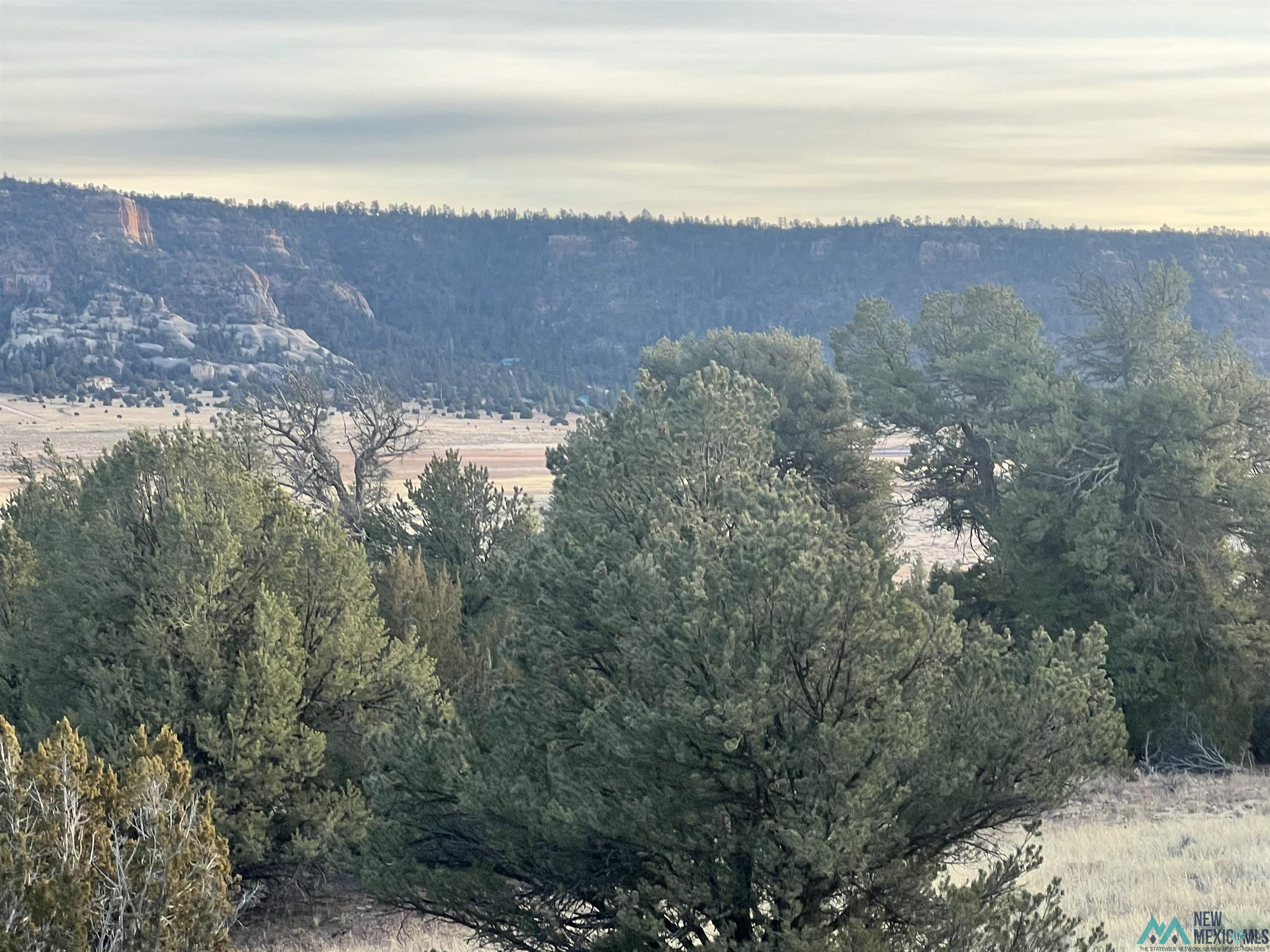 Lot 56 Woodland Drive, Timberlake Drive, Ramah, New Mexico image 2