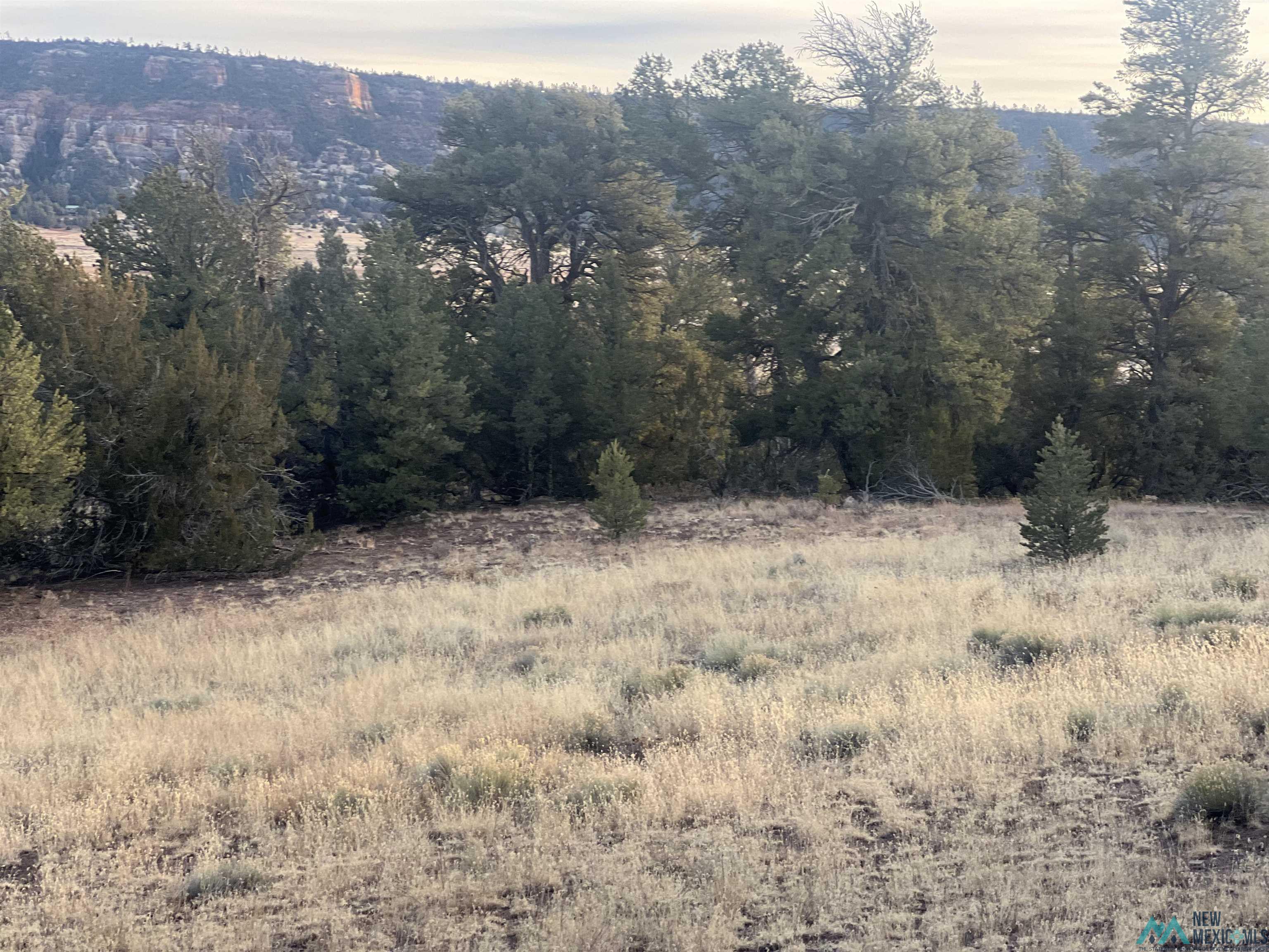 Lot 56 Woodland Drive, Timberlake Drive, Ramah, New Mexico image 6