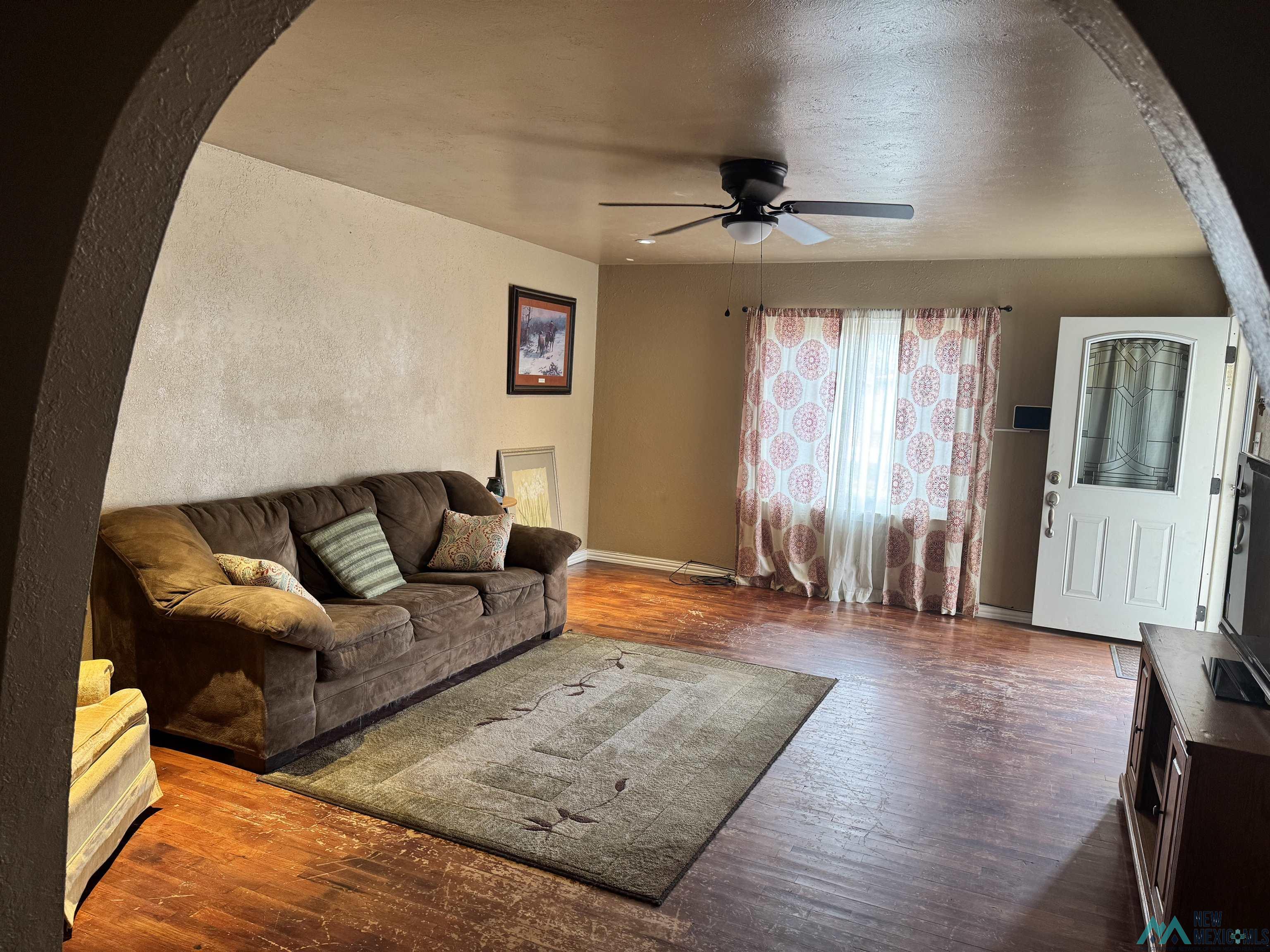 919 Alamosa Street, Carlsbad, New Mexico image 3