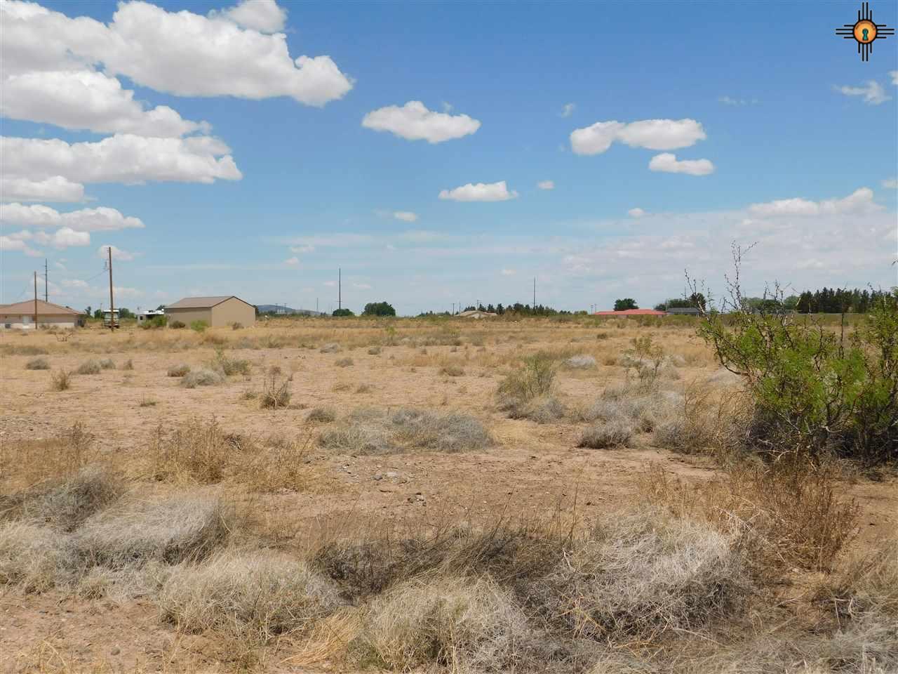 Dove Lane, Deming, New Mexico image 1