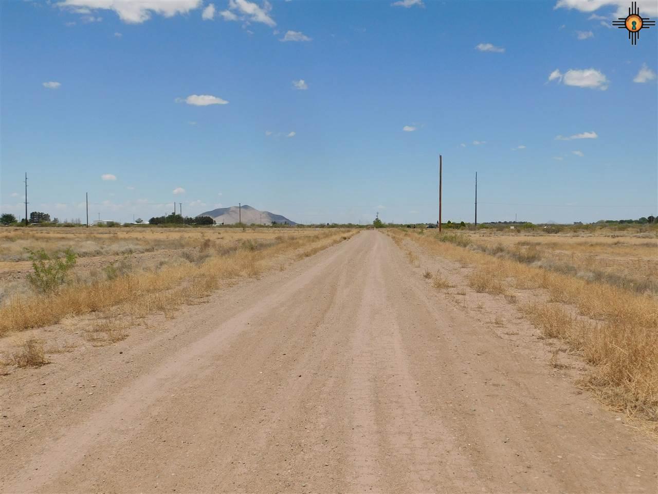 Dove Lane, Deming, New Mexico image 7