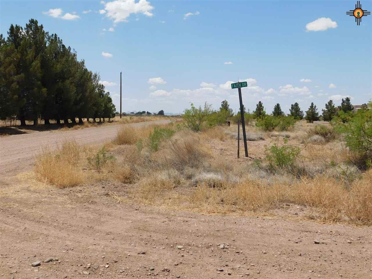 Dove Lane, Deming, New Mexico image 5