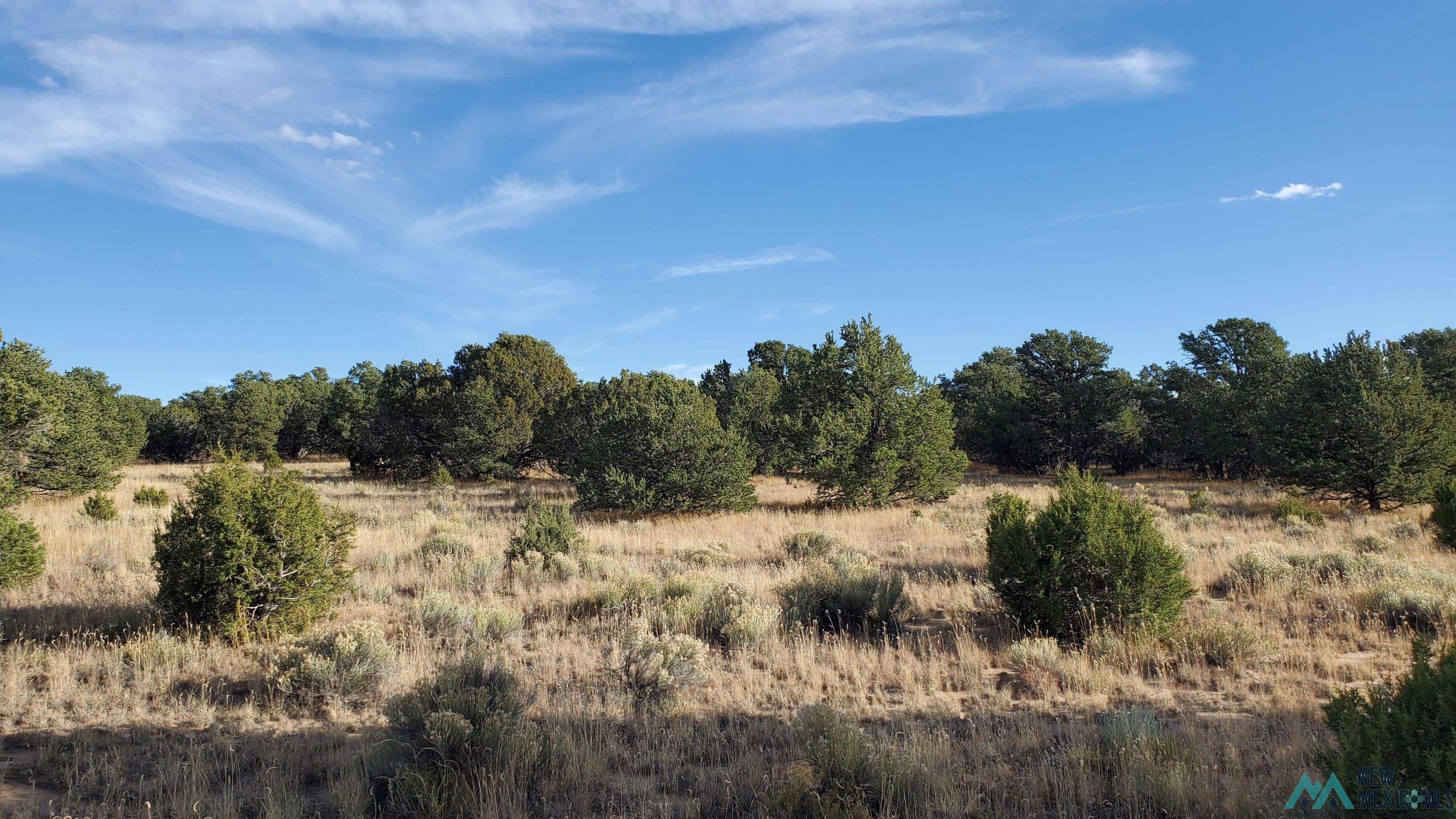 205 Vista Grande Road, Pie Town, New Mexico image 14