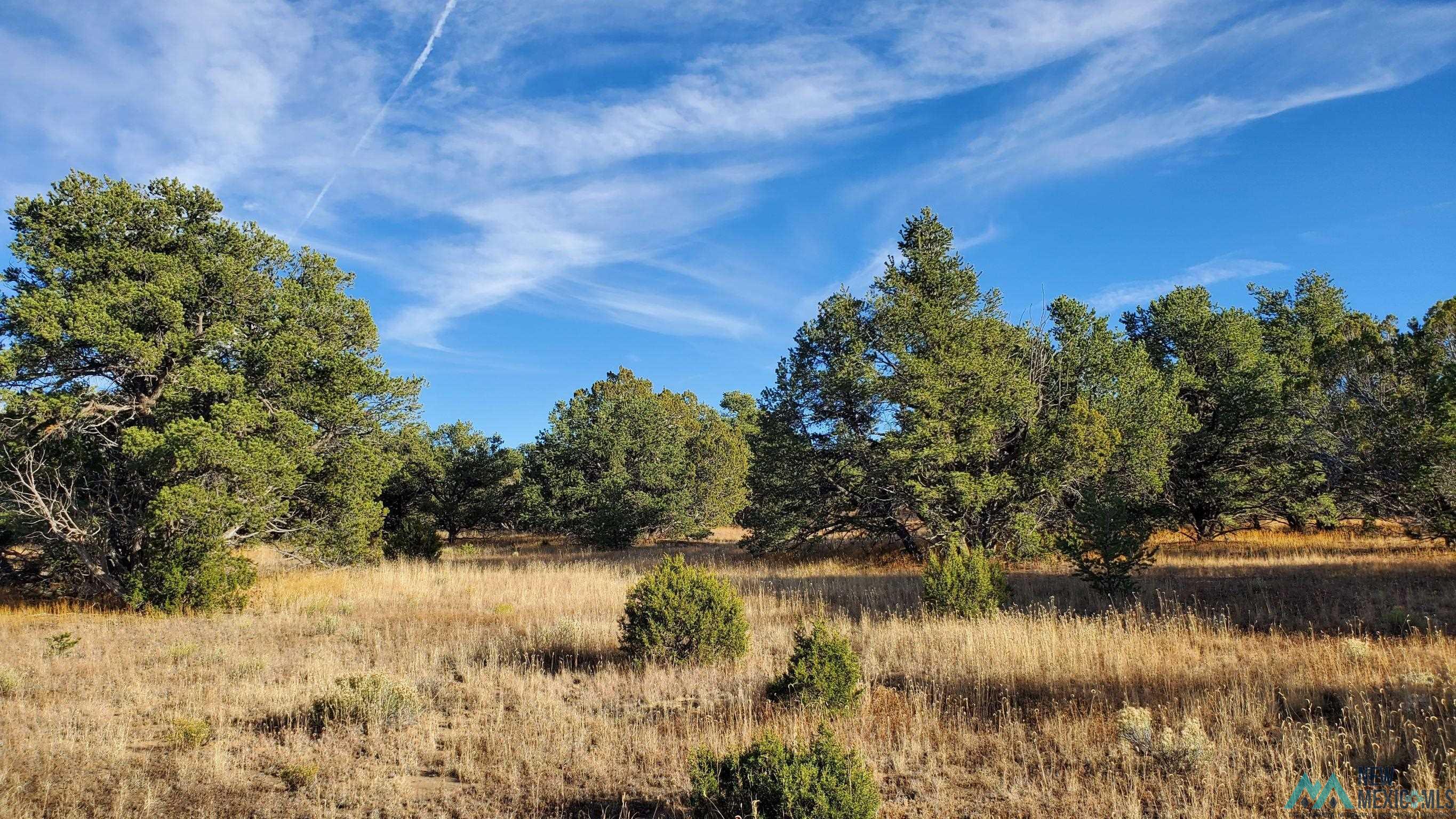 205 Vista Grande Road, Pie Town, New Mexico image 7