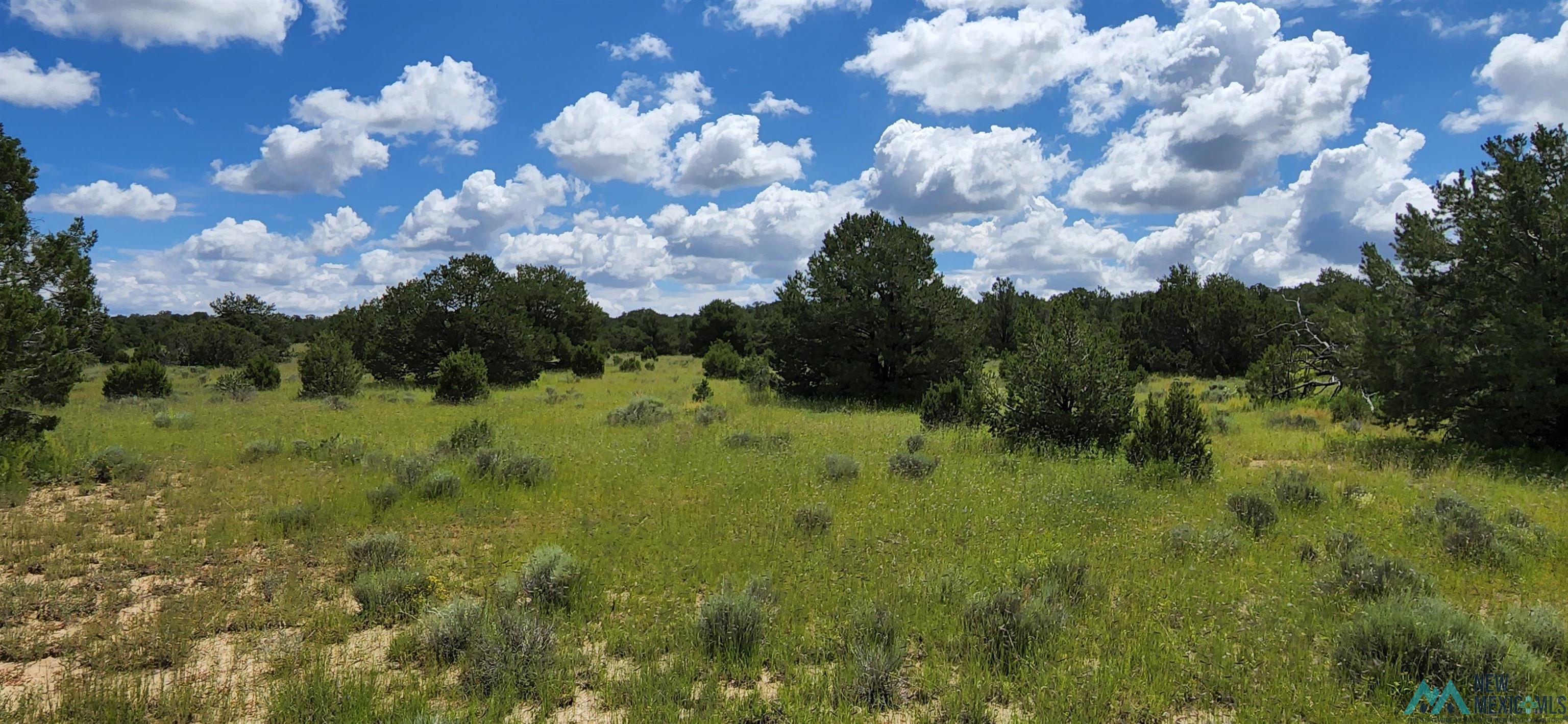 205 Vista Grande Road, Pie Town, New Mexico image 17