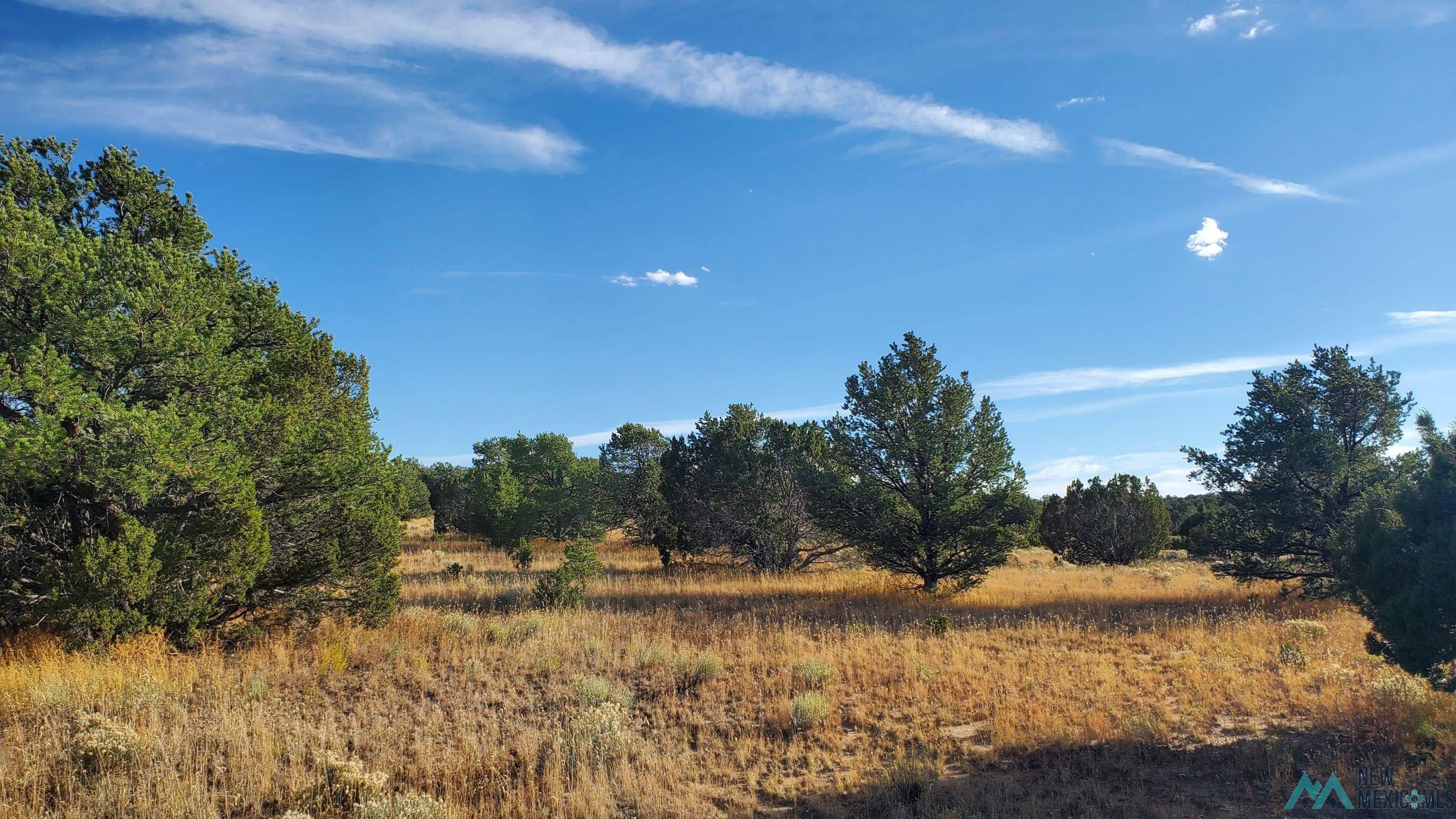 205 Vista Grande Road, Pie Town, New Mexico image 12