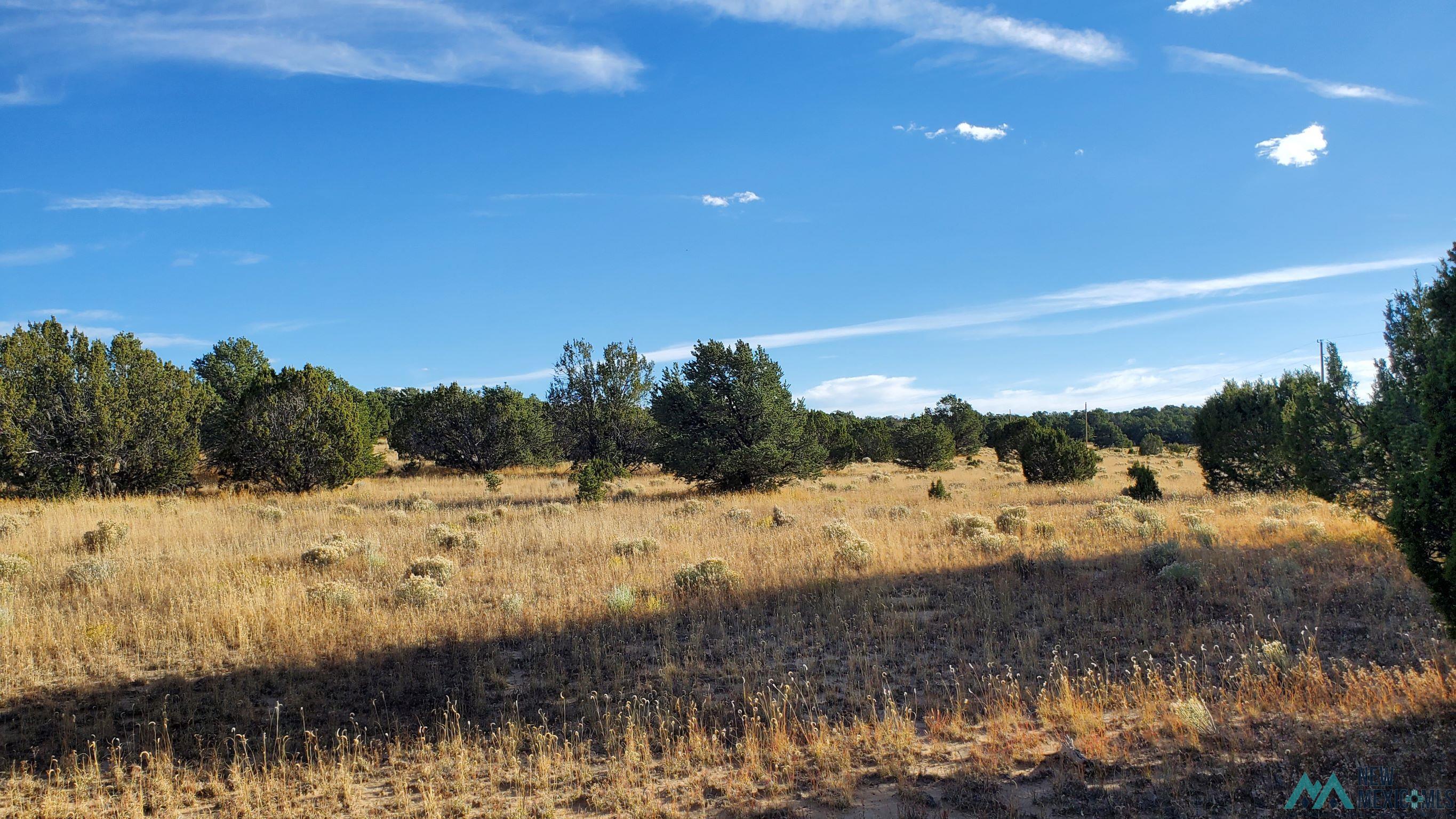 205 Vista Grande Road, Pie Town, New Mexico image 9