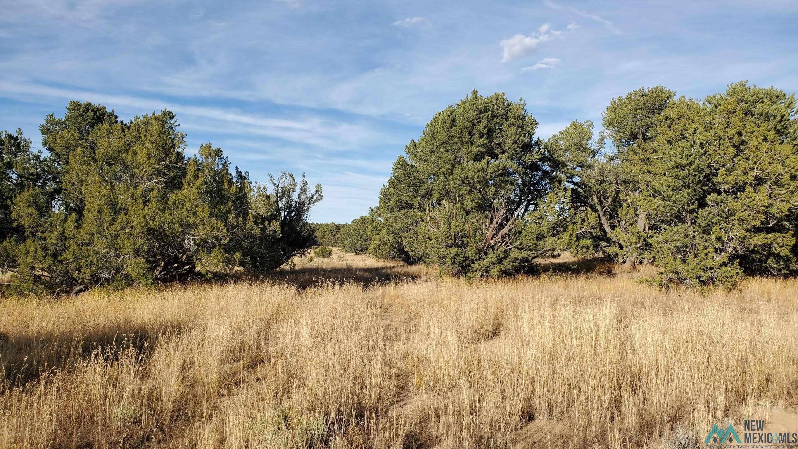 205 Vista Grande Road, Pie Town, New Mexico image 16