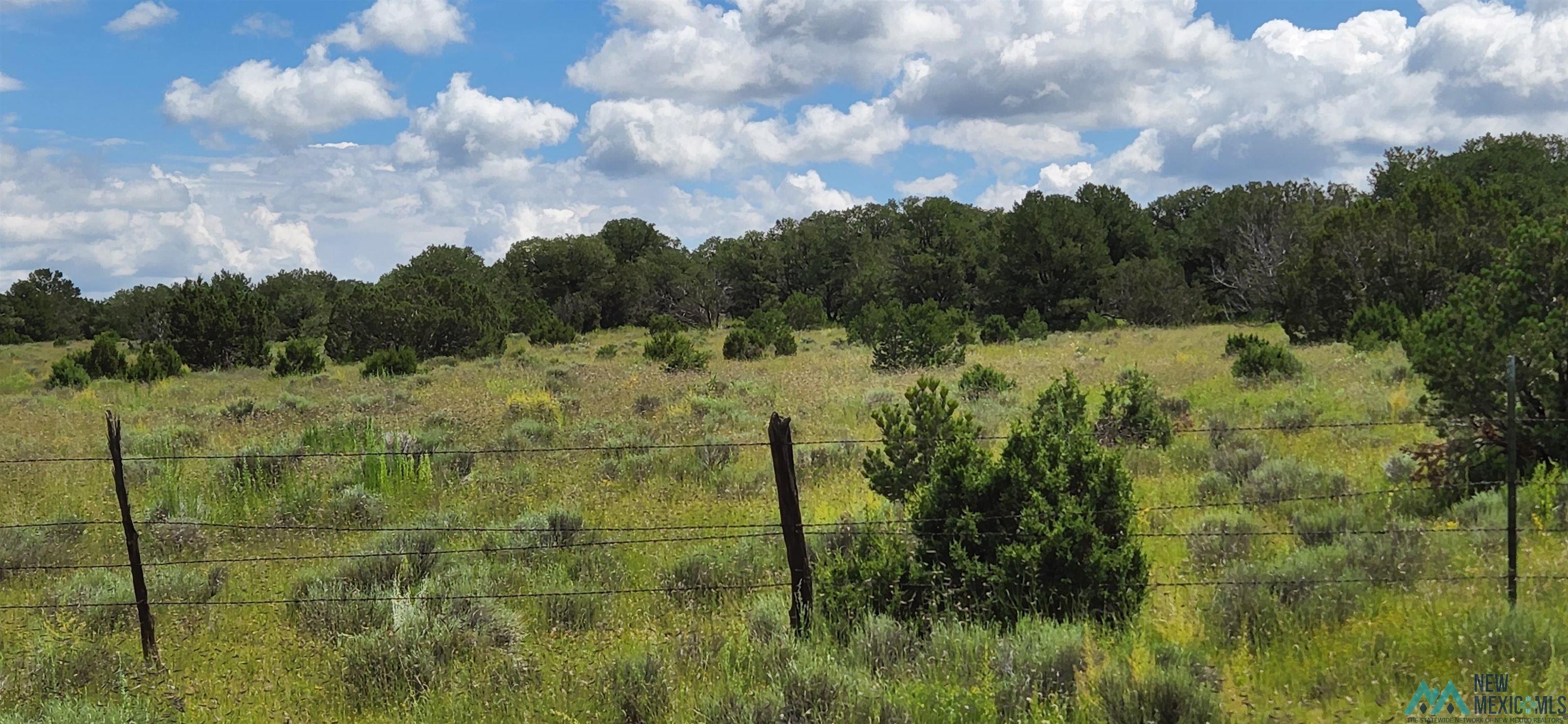 205 Vista Grande Road, Pie Town, New Mexico image 19