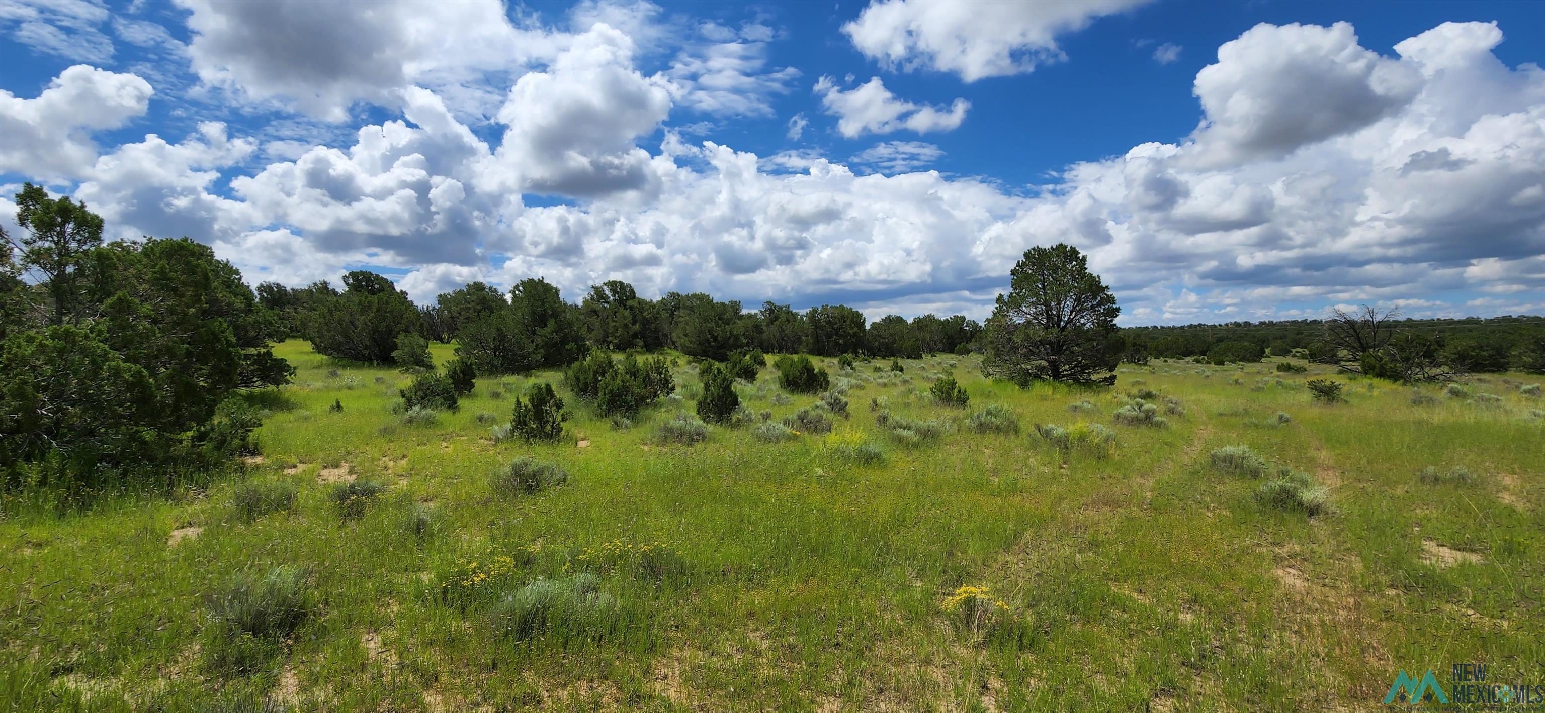 205 Vista Grande Road, Pie Town, New Mexico image 1