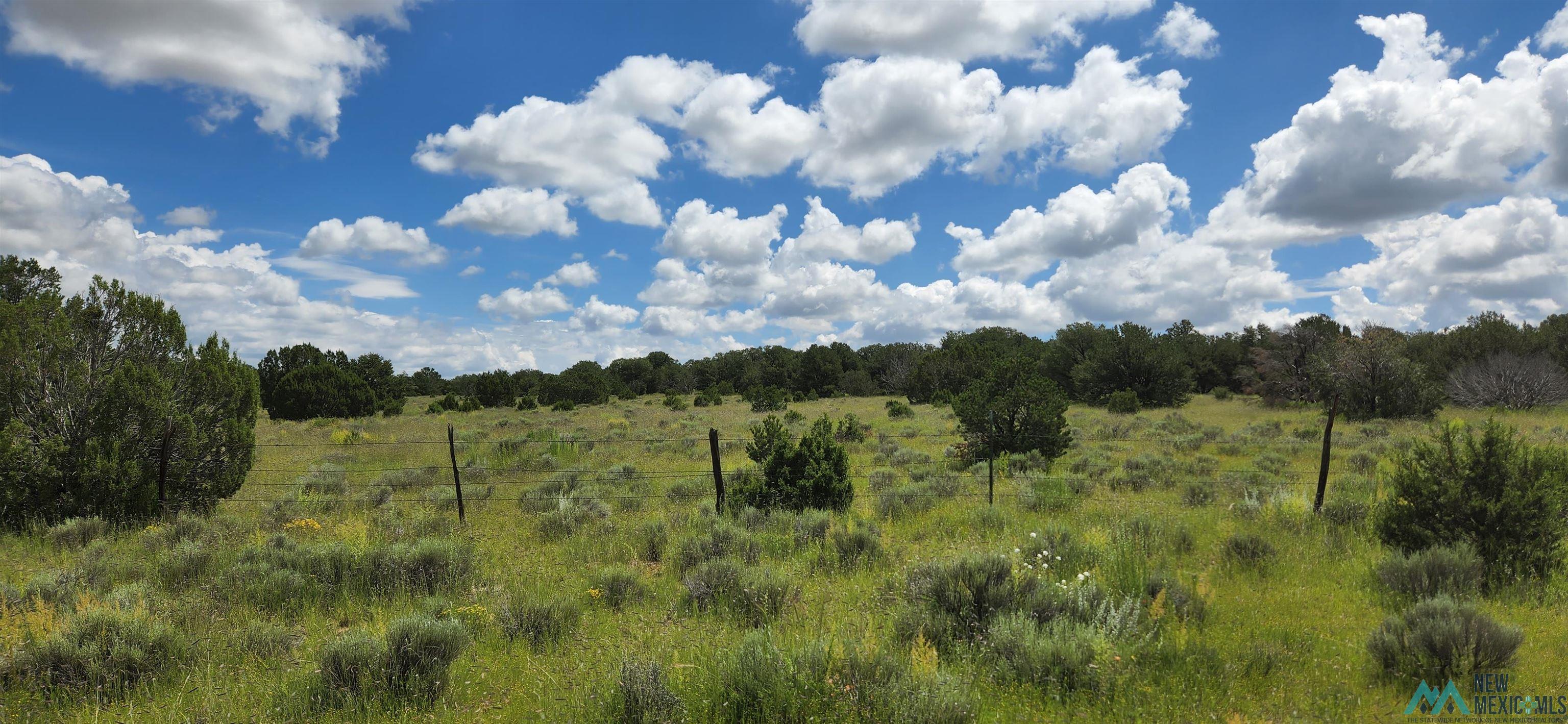 205 Vista Grande Road, Pie Town, New Mexico image 18