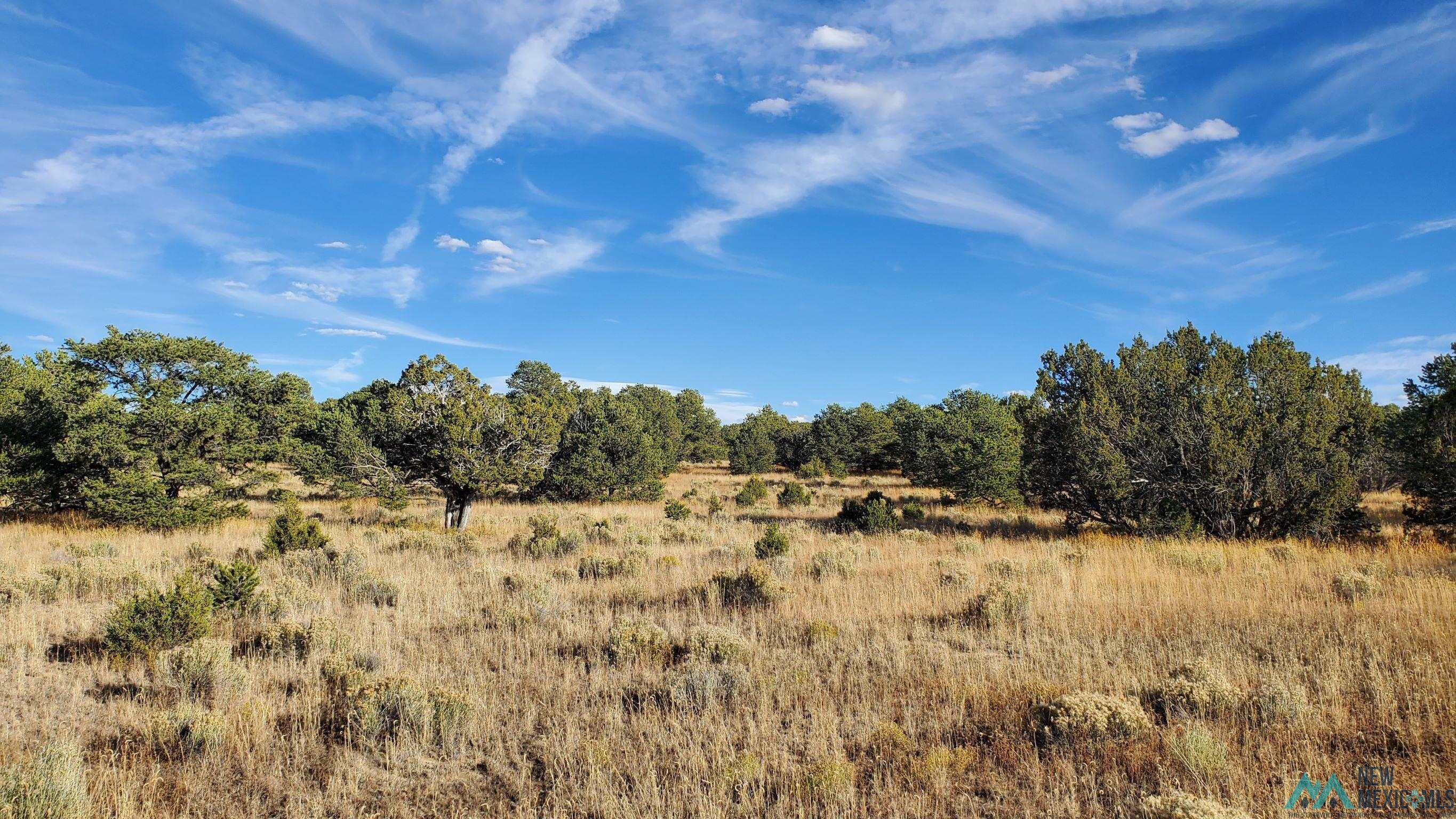 205 Vista Grande Road, Pie Town, New Mexico image 10