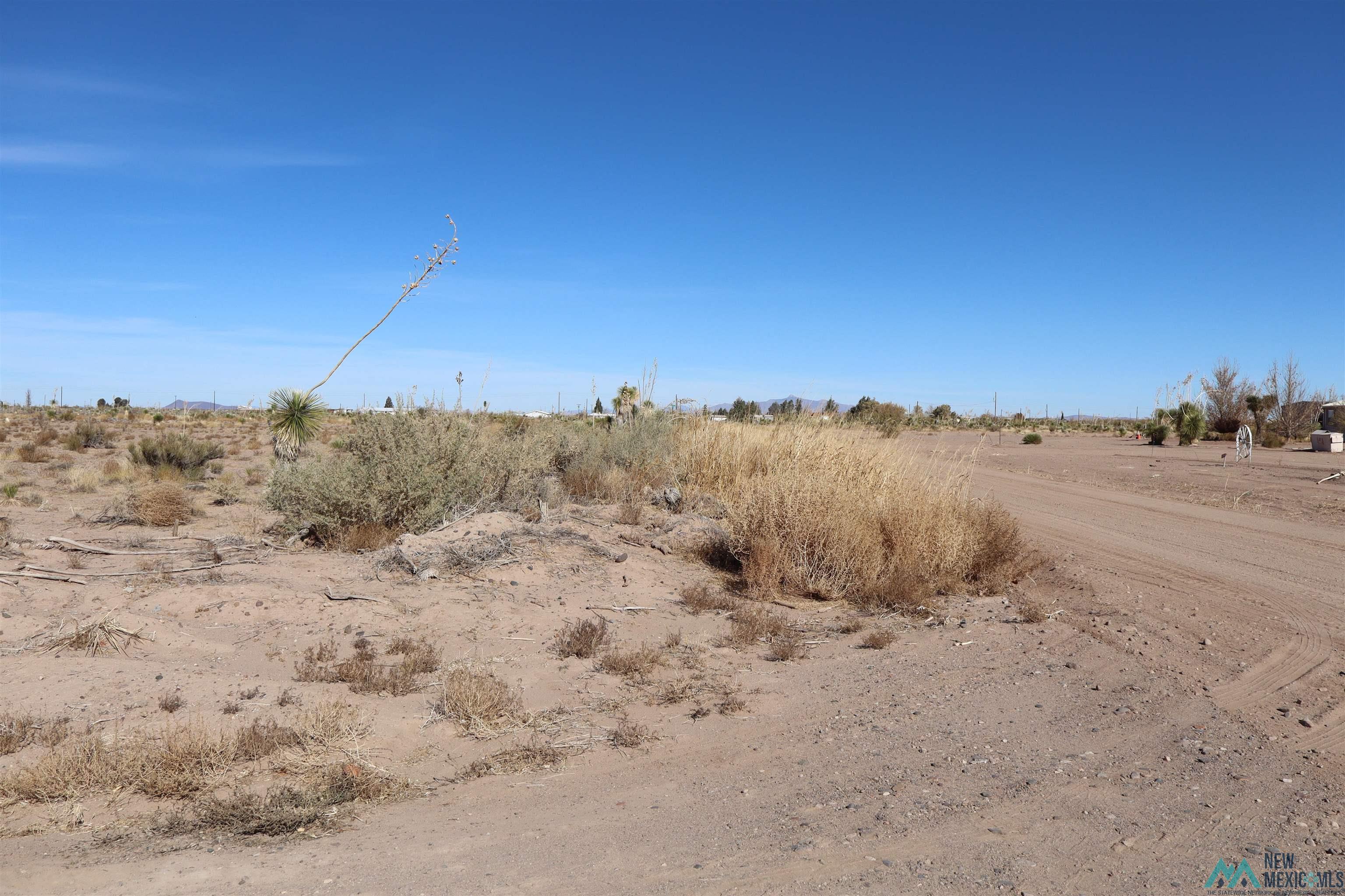 Calle Del Monte Rd Sw, Deming, Texas image 2