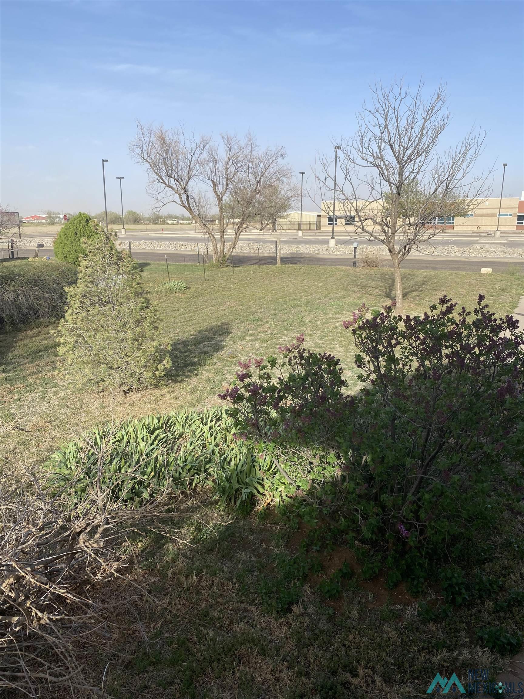 1204 S Oak Street, Clovis, Texas image 7