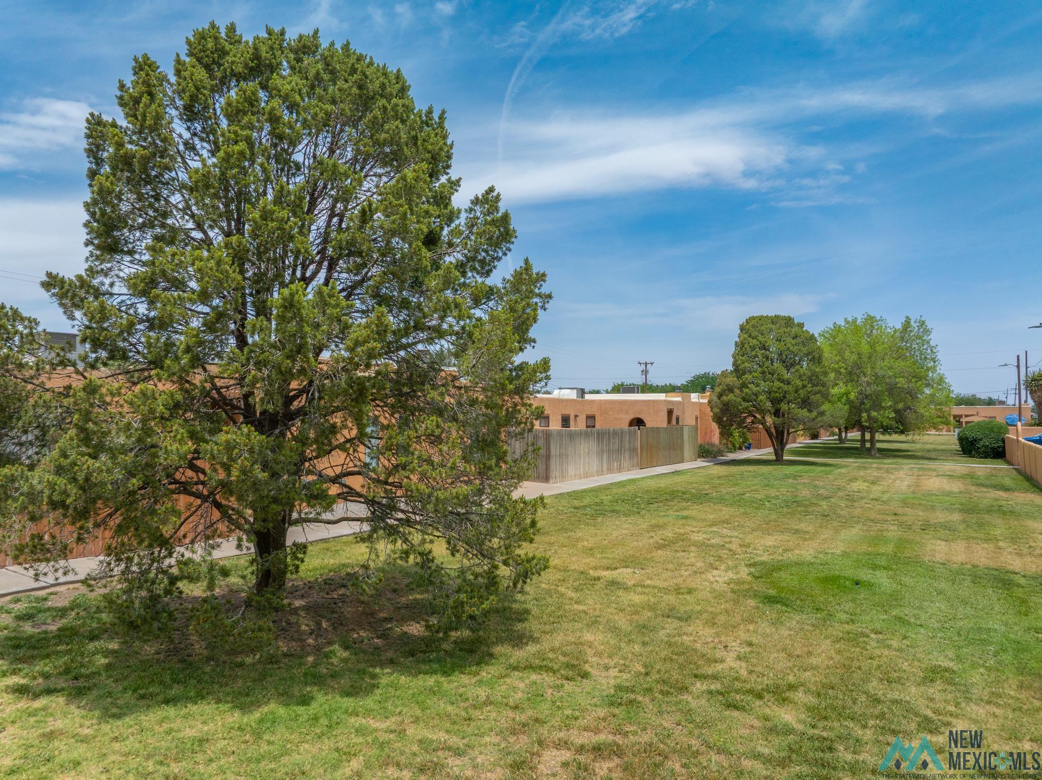 1308 S Sunset Avenue, Roswell, Texas image 8