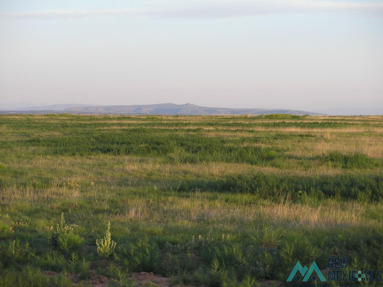 80+/-ac Tract 2 38 Miles North Of Roy Nm, Roy, New Mexico image 1