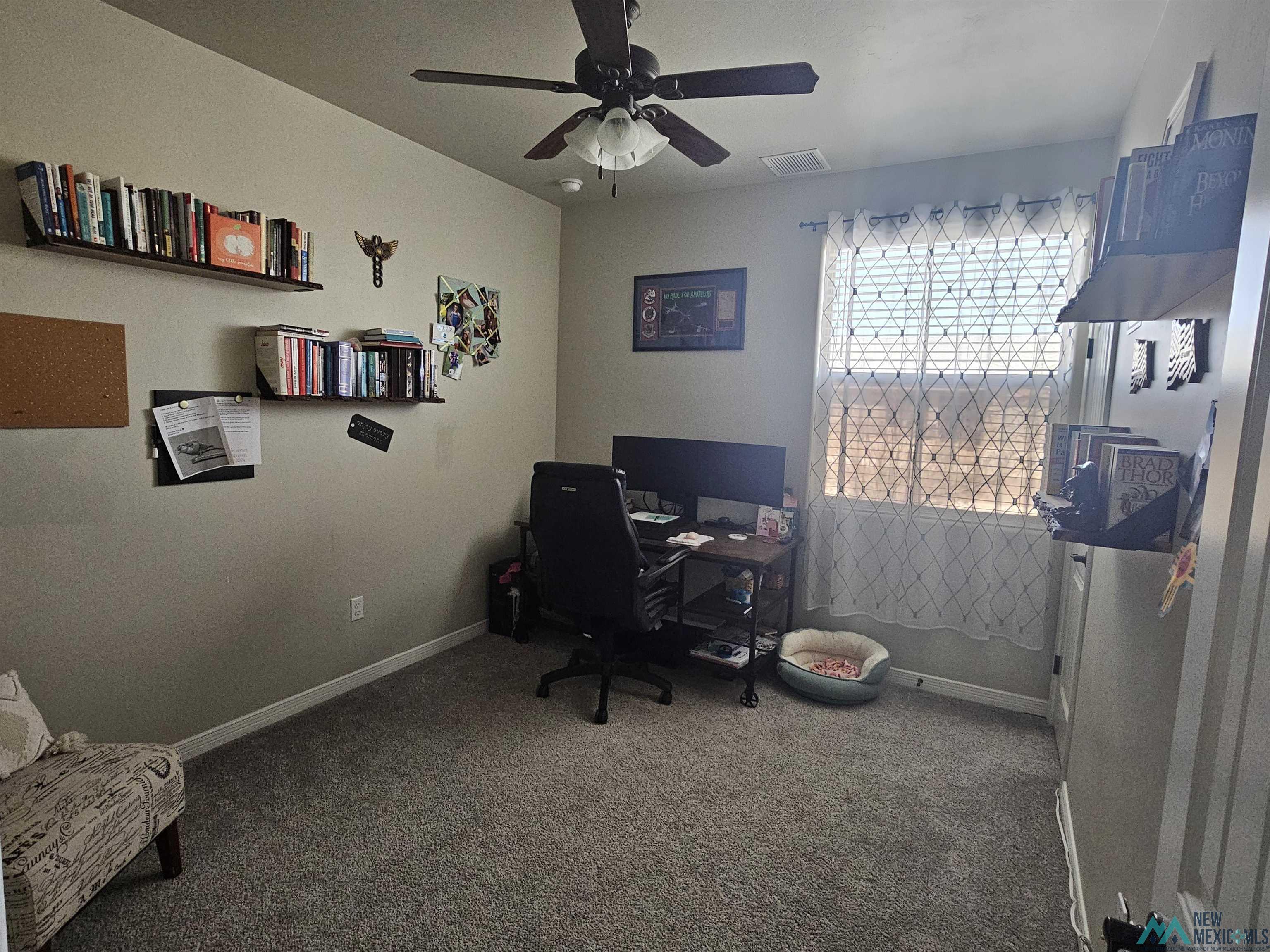 4203 S Padre Lane, Carlsbad, New Mexico image 16