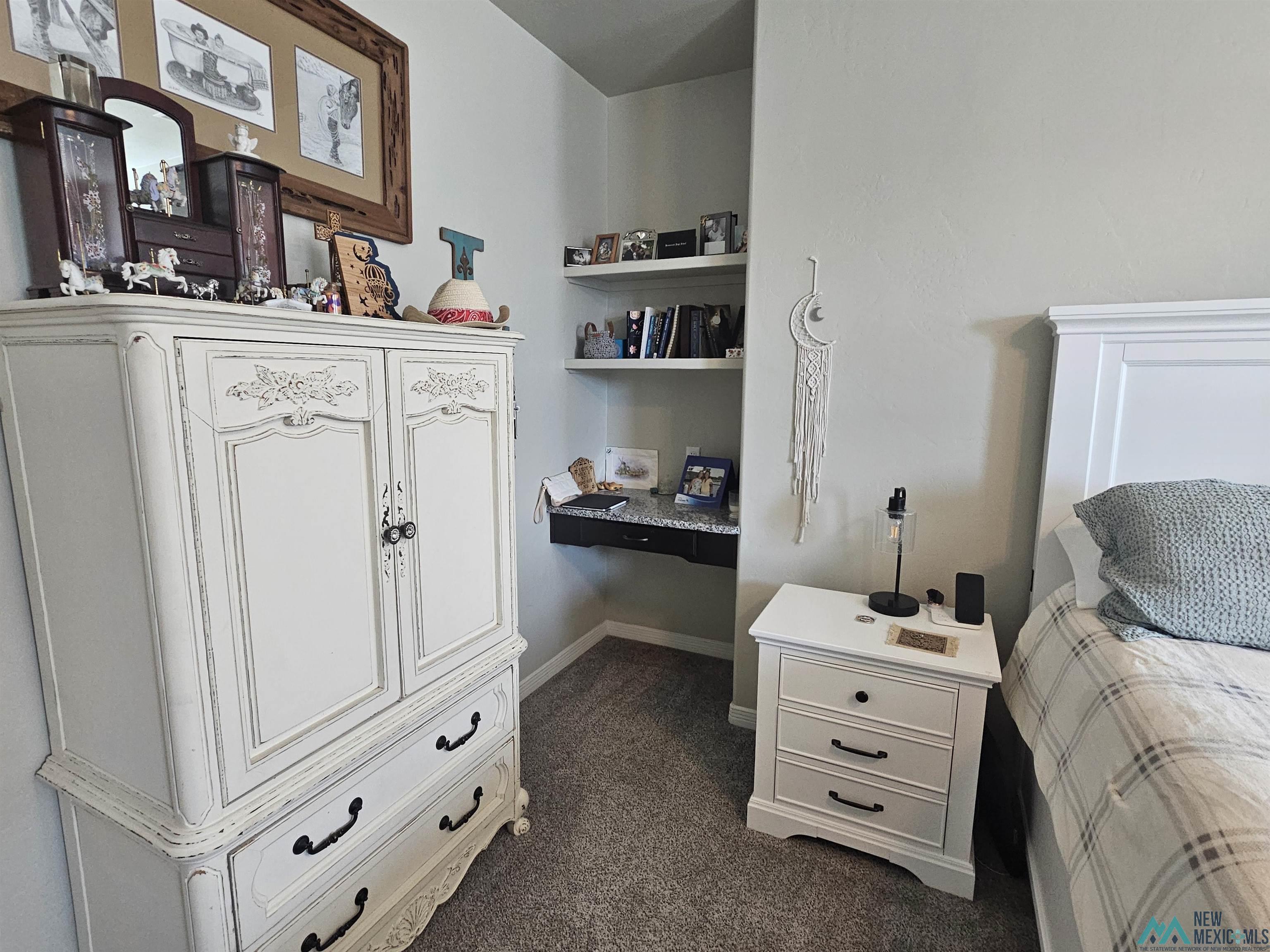 4203 S Padre Lane, Carlsbad, New Mexico image 12