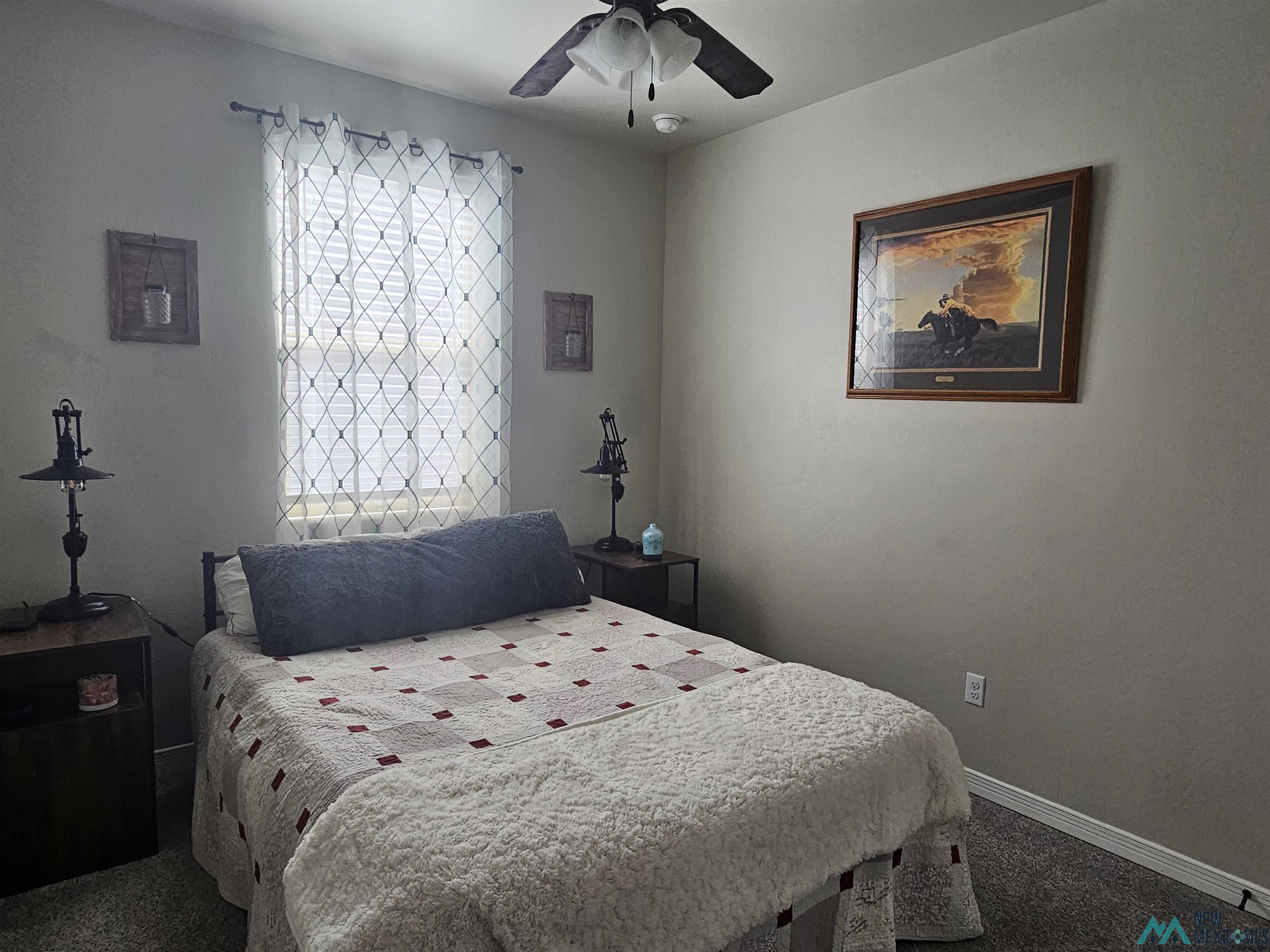4203 S Padre Lane, Carlsbad, New Mexico image 19