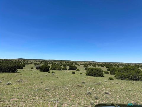 Homes For Sale - 92 Northern Road<br/> Quemado, NM 87829