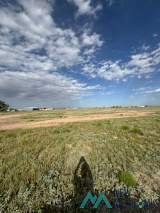 00 Michael Rd, Dexter, Texas image 1