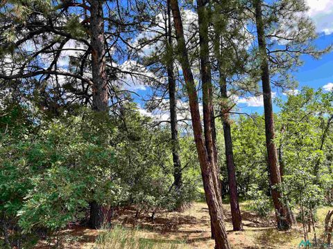 Vacant Land For Sale - Block 2, Lot 15, Brazos Road<br/> Rio Arriba County, Chama, NM 87520