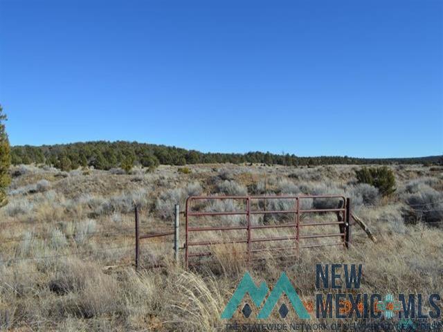 TBD Sierra De Manana Drive, Candy Kitchen, Texas image 11