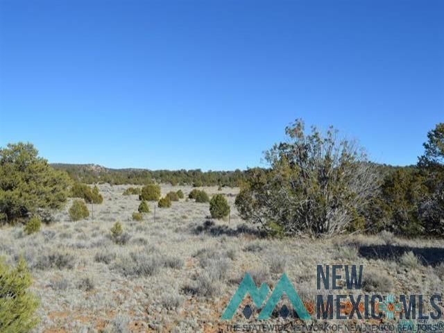 TBD Sierra De Manana Drive, Candy Kitchen, Texas image 16