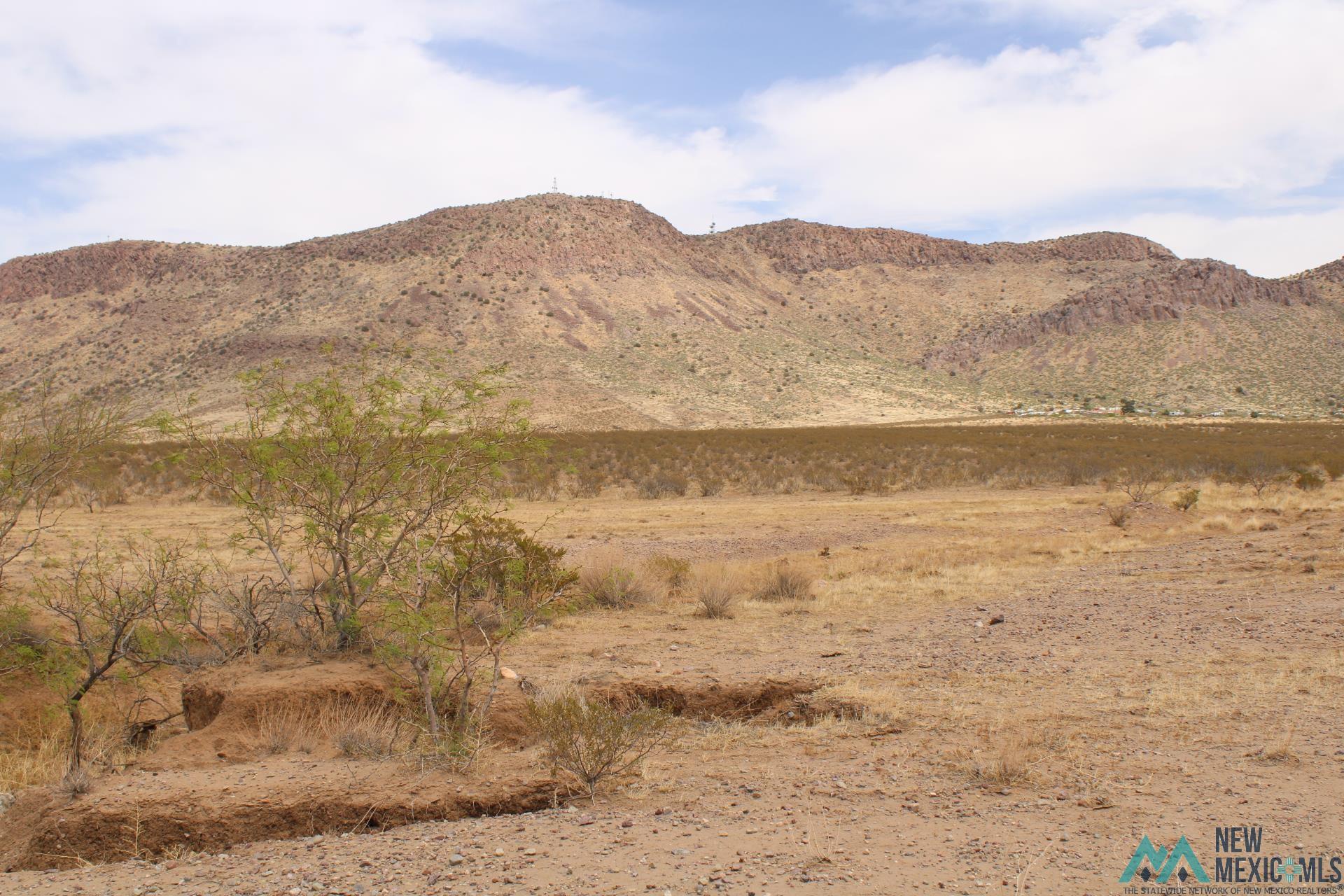 Monte Rd Se, Deming, New Mexico image 8